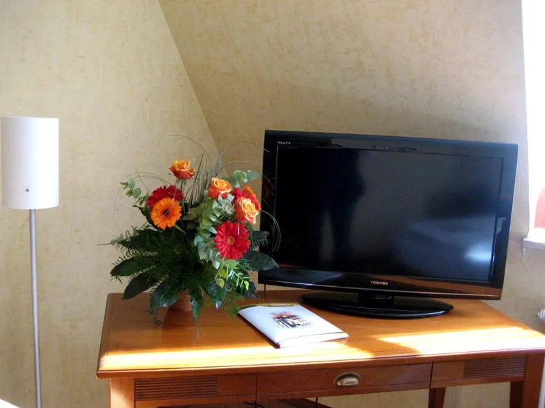 TV and multimedia in Altstadthotel Schex