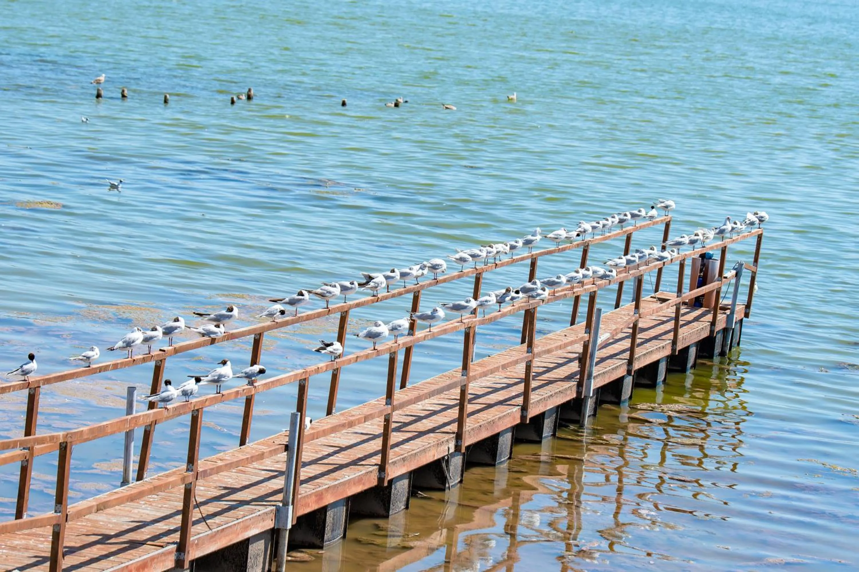 Enjoy Life Apartments