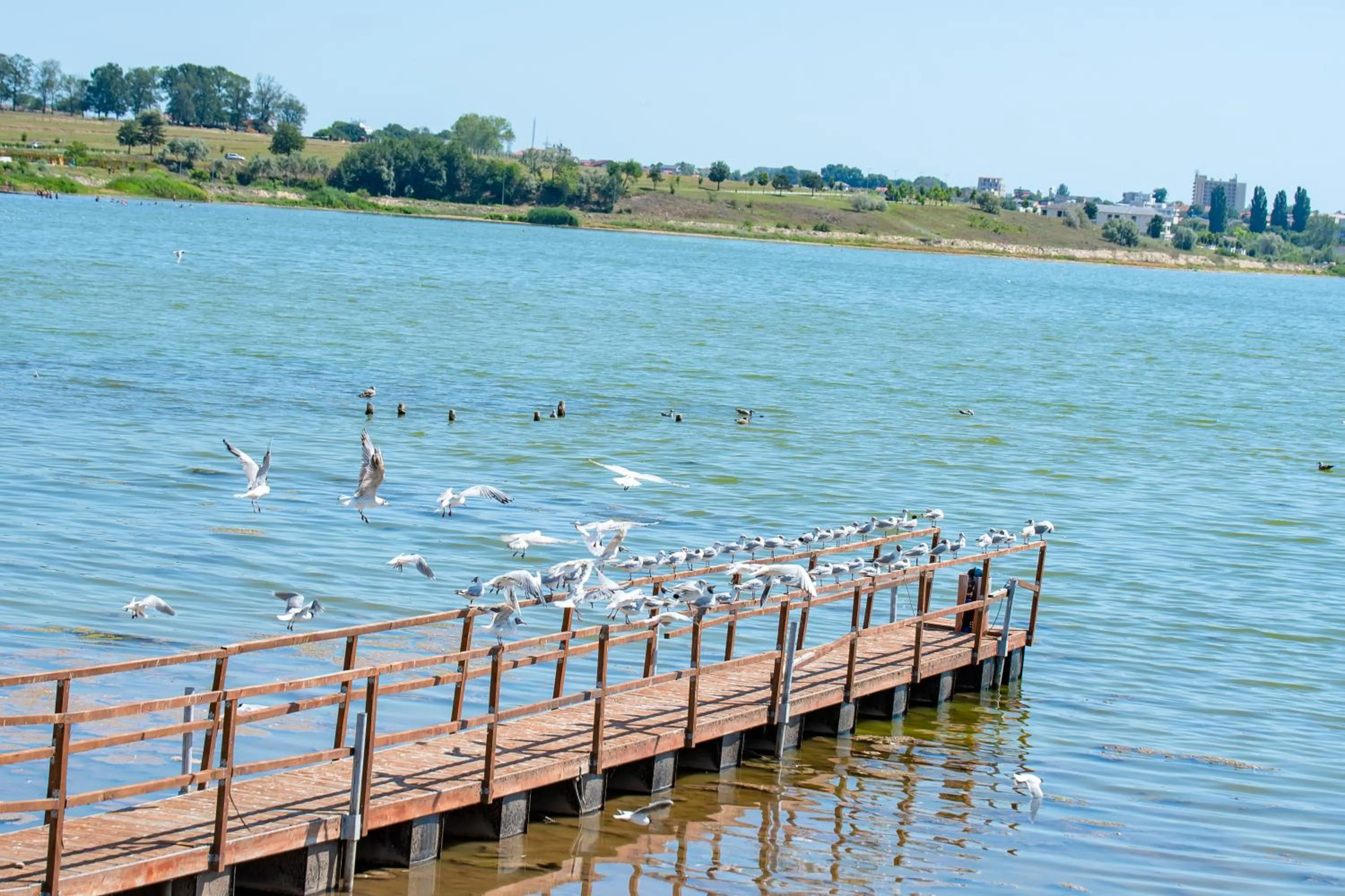 Enjoy Life Apartments