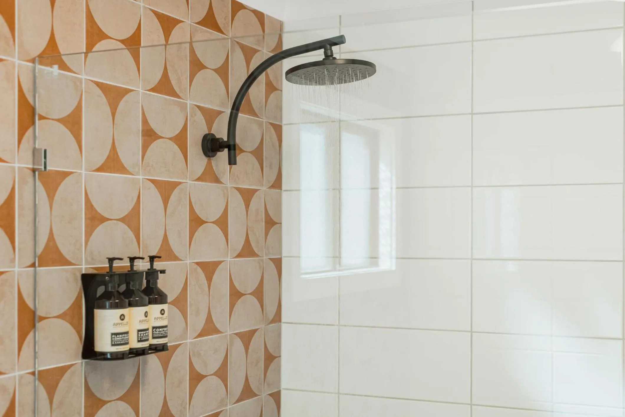 Shower in The Queens Gladstone