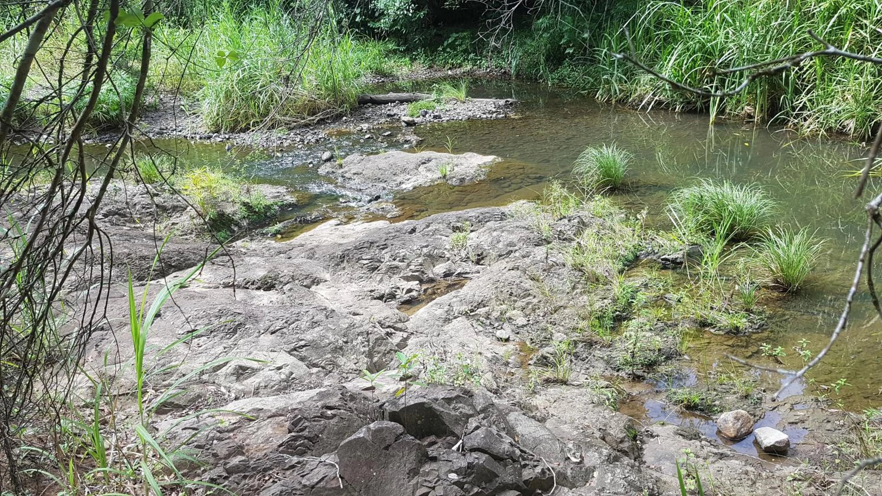 Starry Nights Luxury Camping