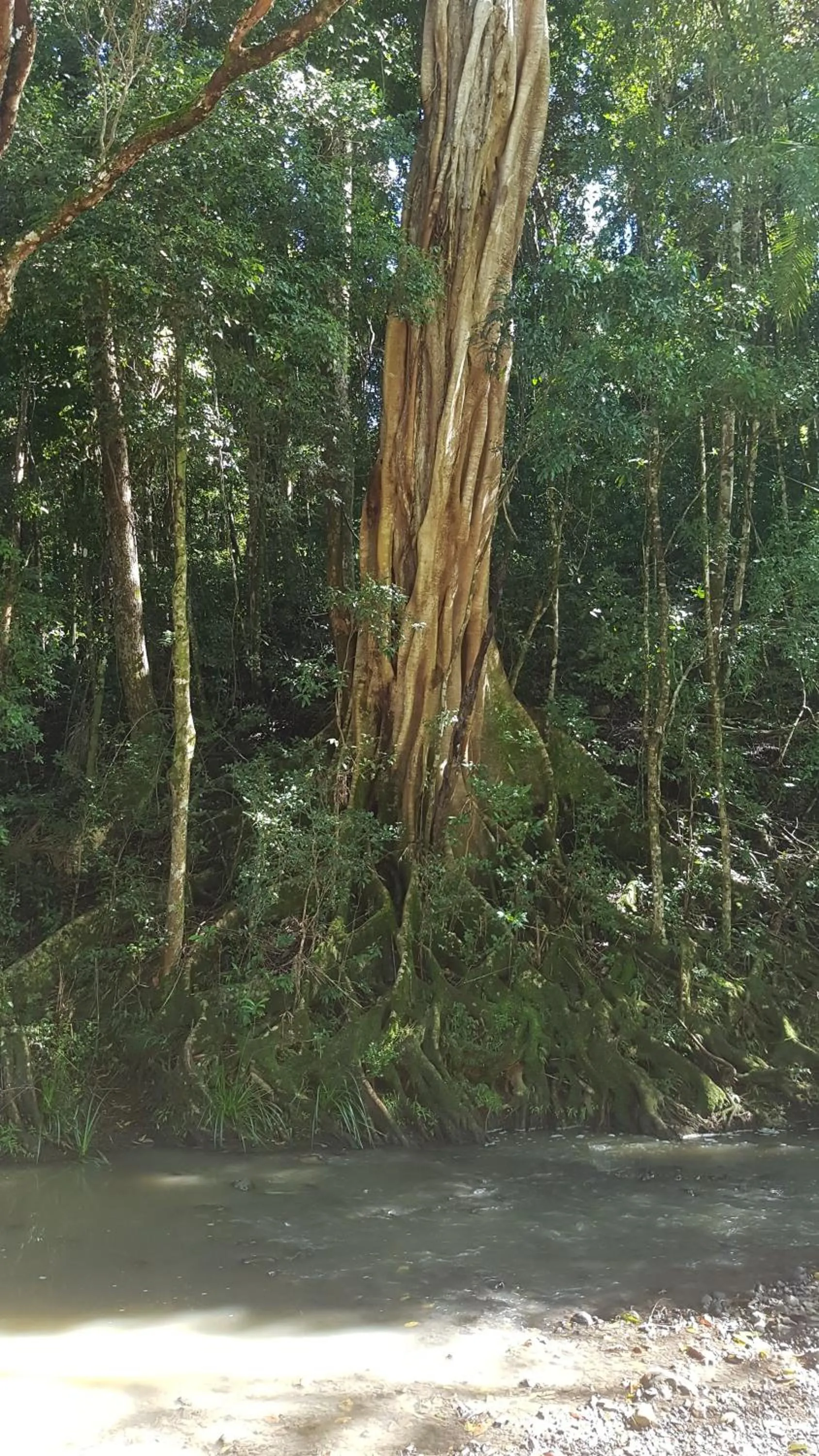 Starry Nights Luxury Camping