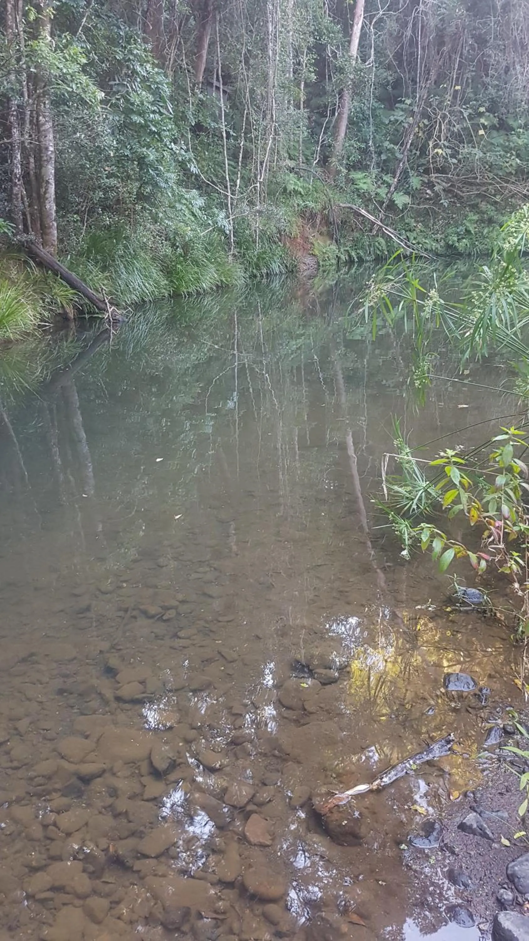 Starry Nights Luxury Camping