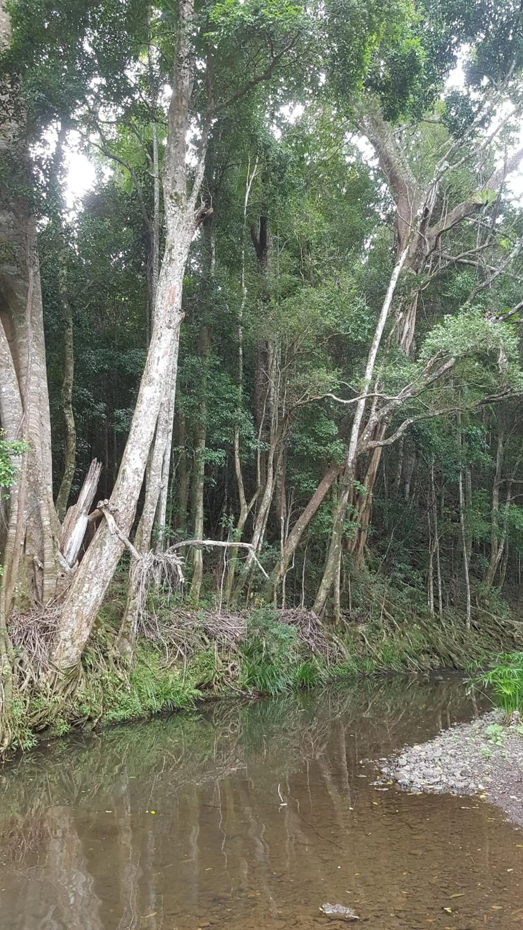 Natural landscape in Starry Nights Luxury Camping