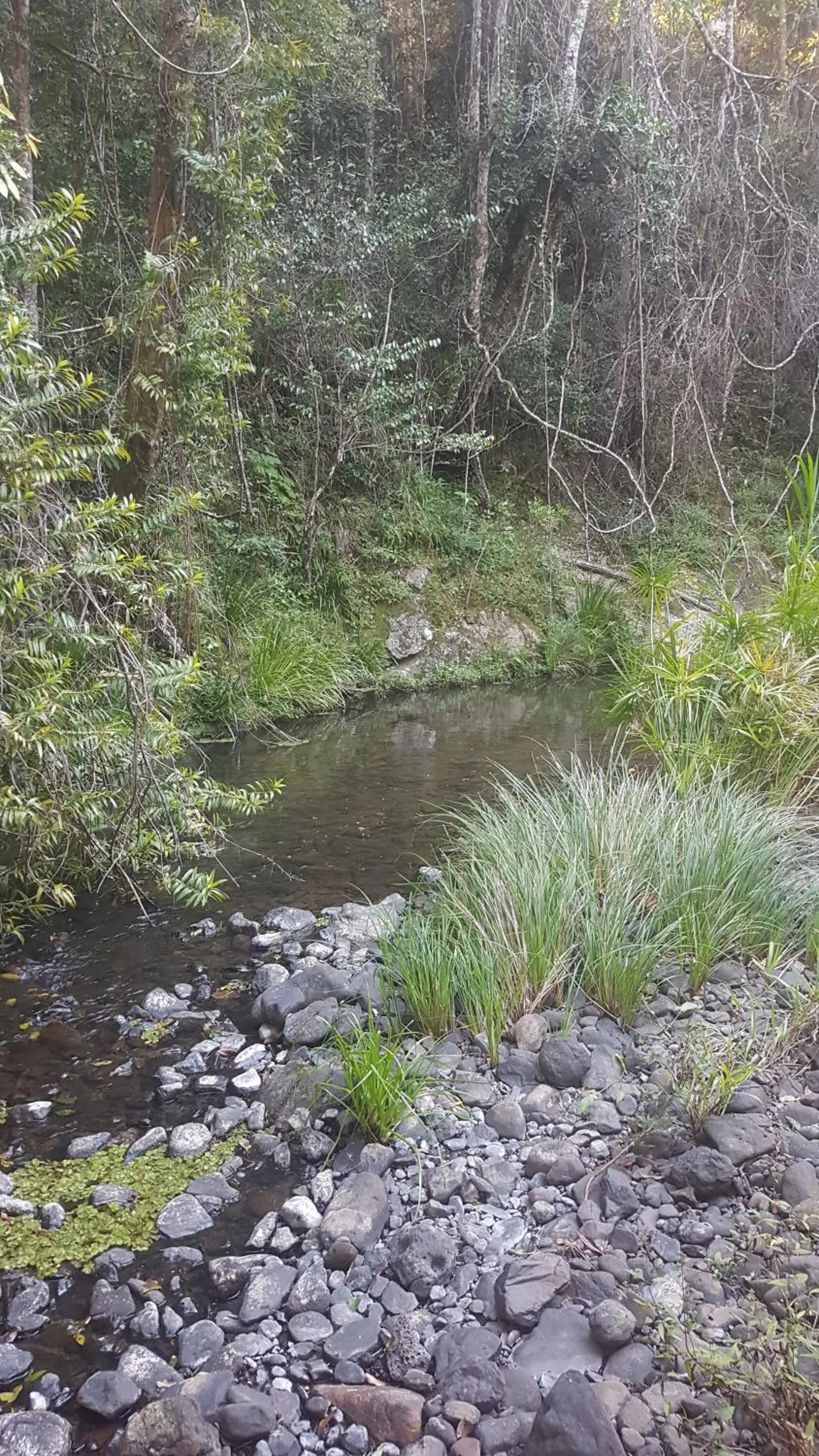 Natural landscape in Starry Nights Luxury Camping