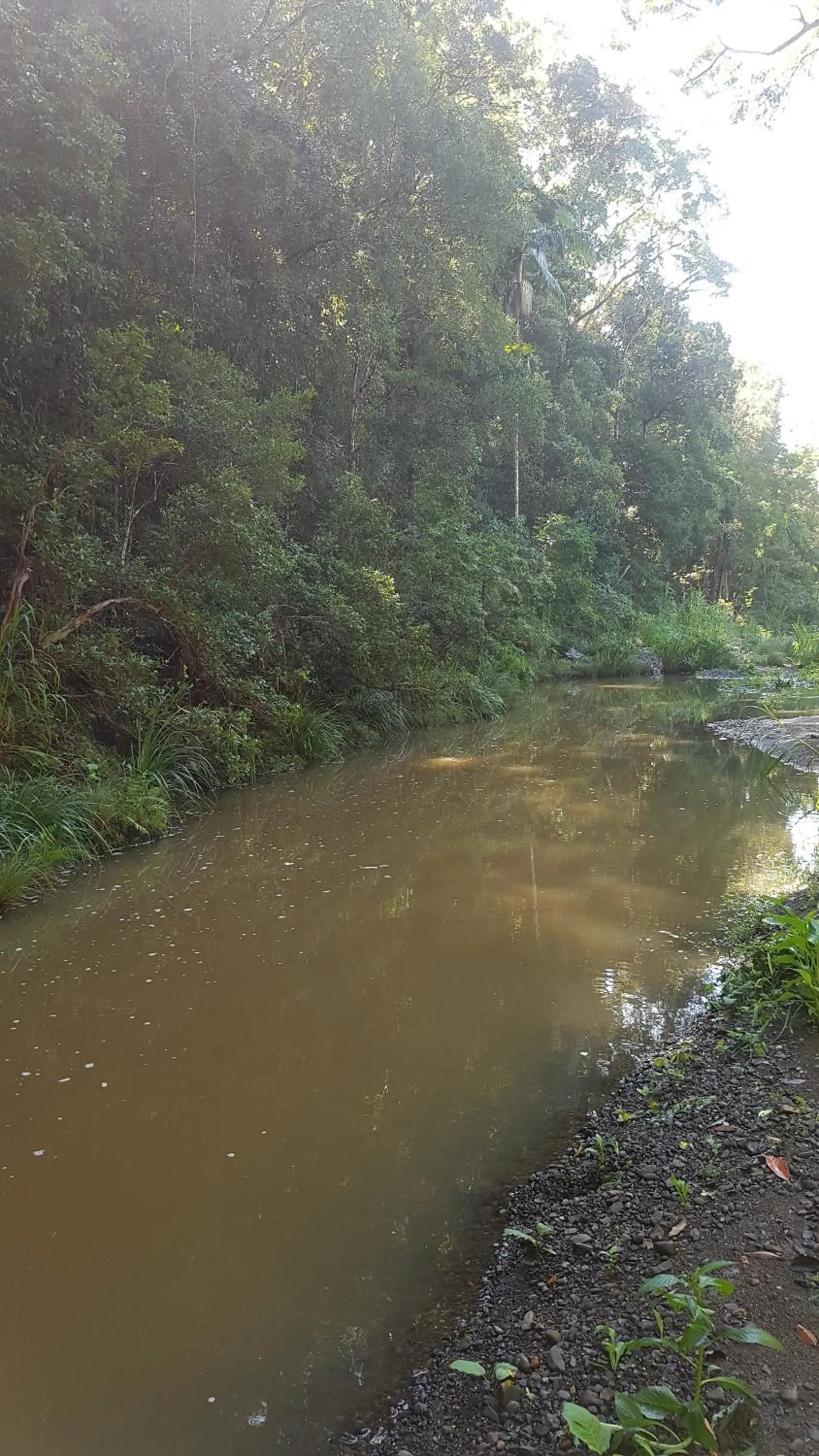 Starry Nights Luxury Camping