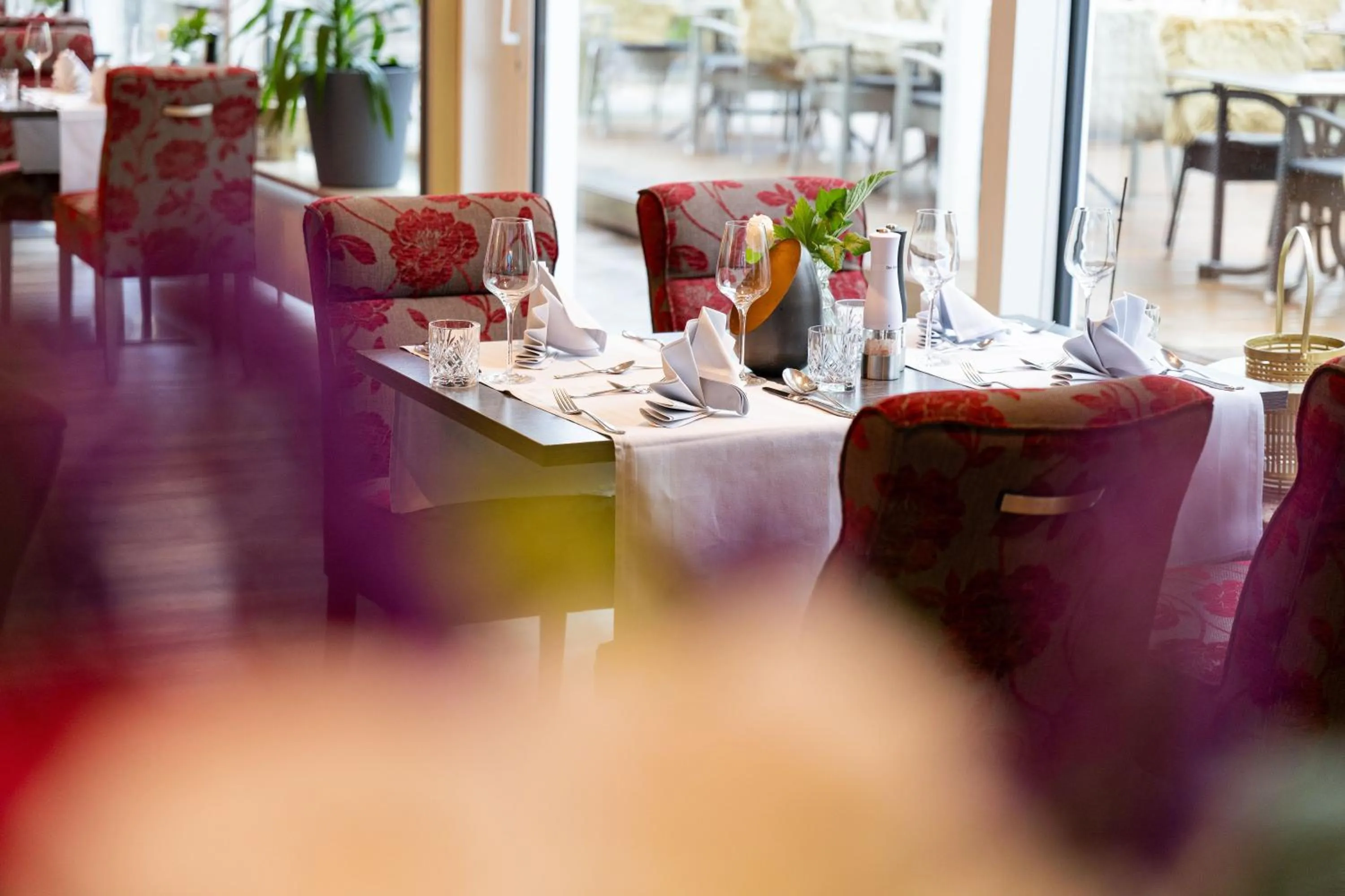 Restaurant/places to eat in Wellness & Ayurveda Hotel Am Eichenberg