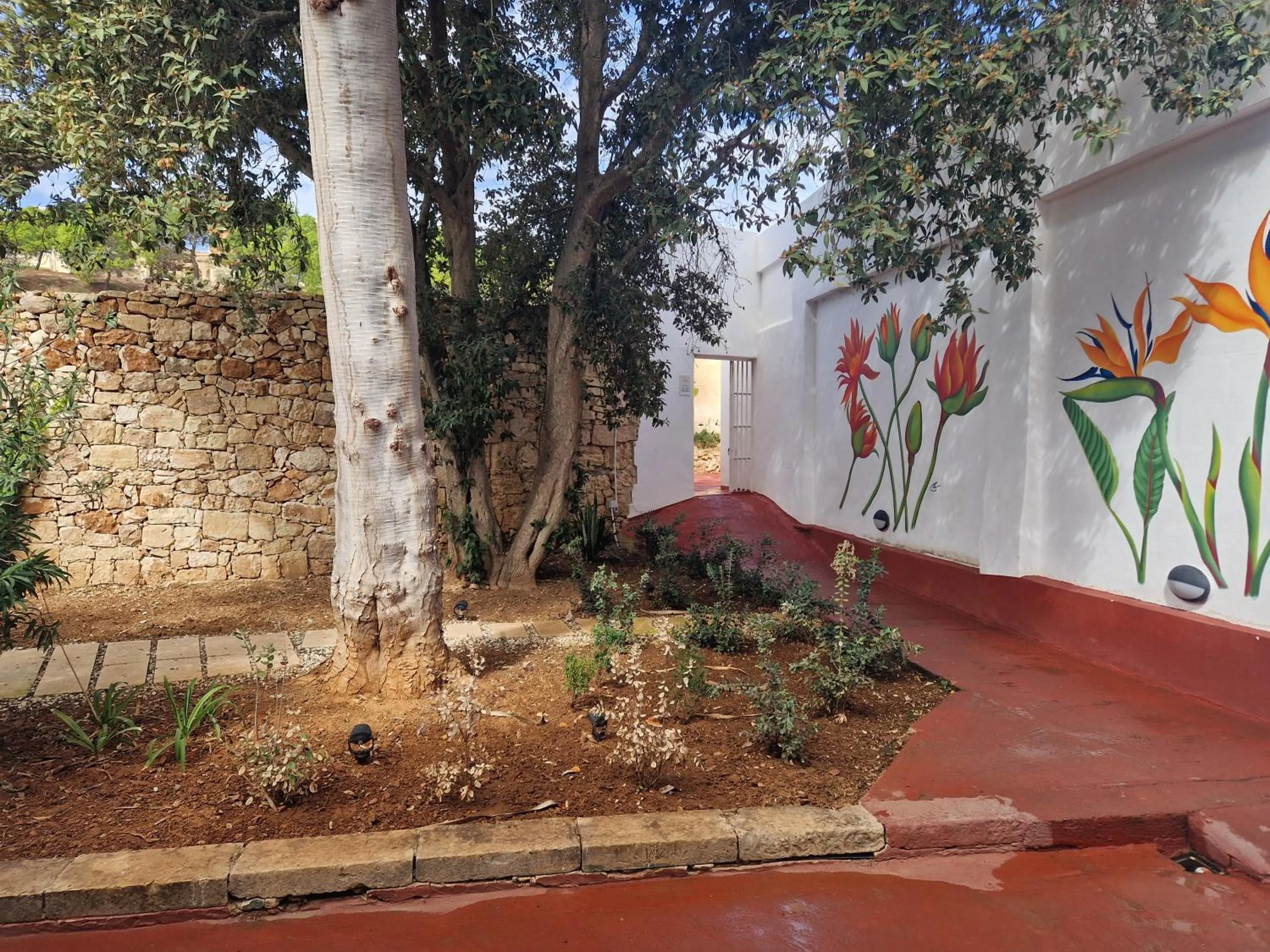 Garden in Cresta Beach Studios