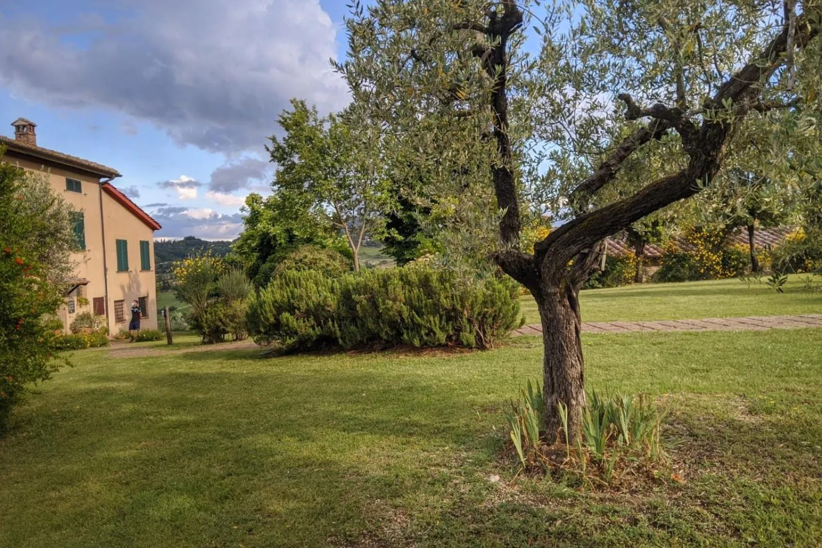 Garden in CUGUSI BnB