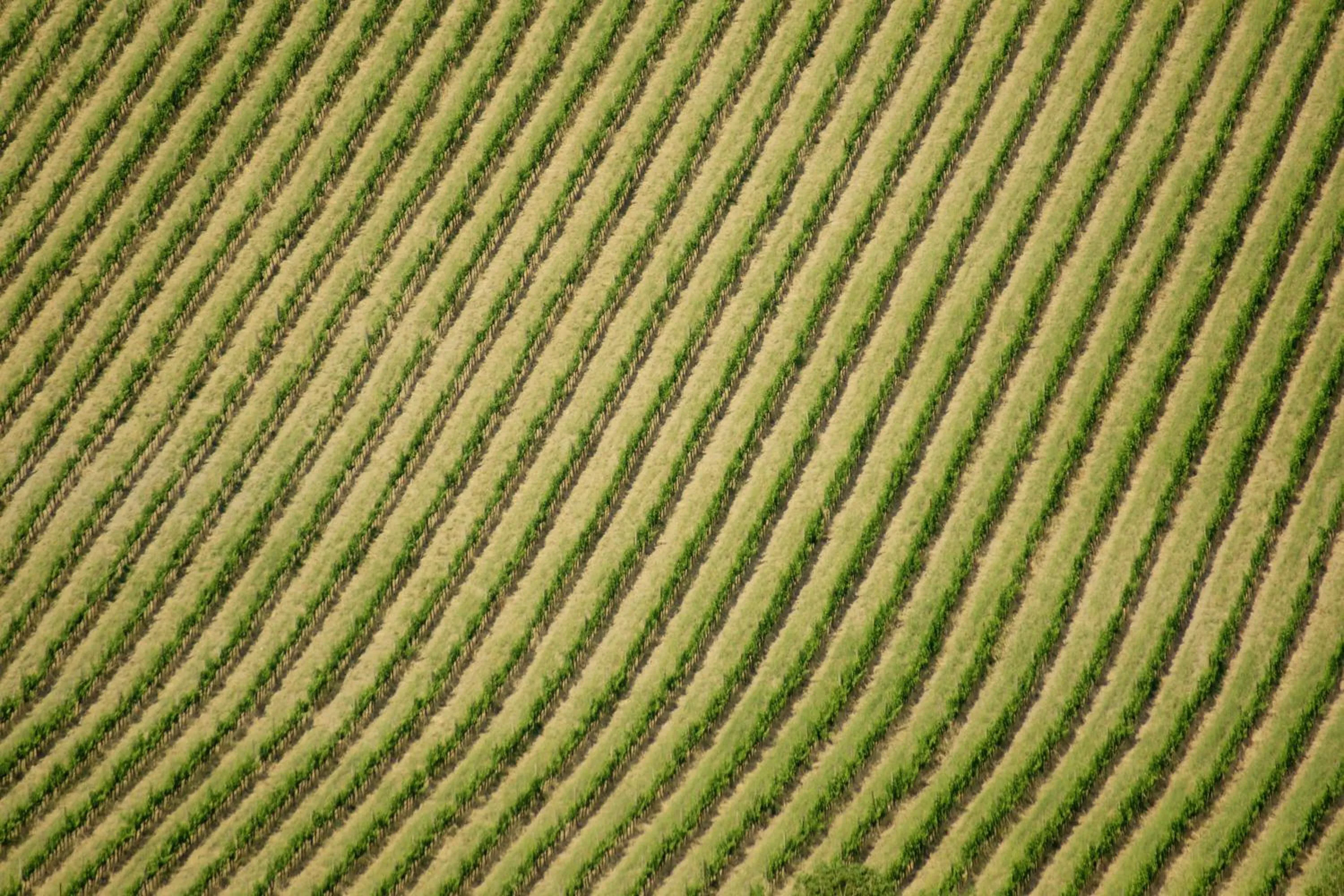 Natural landscape in CUGUSI BnB