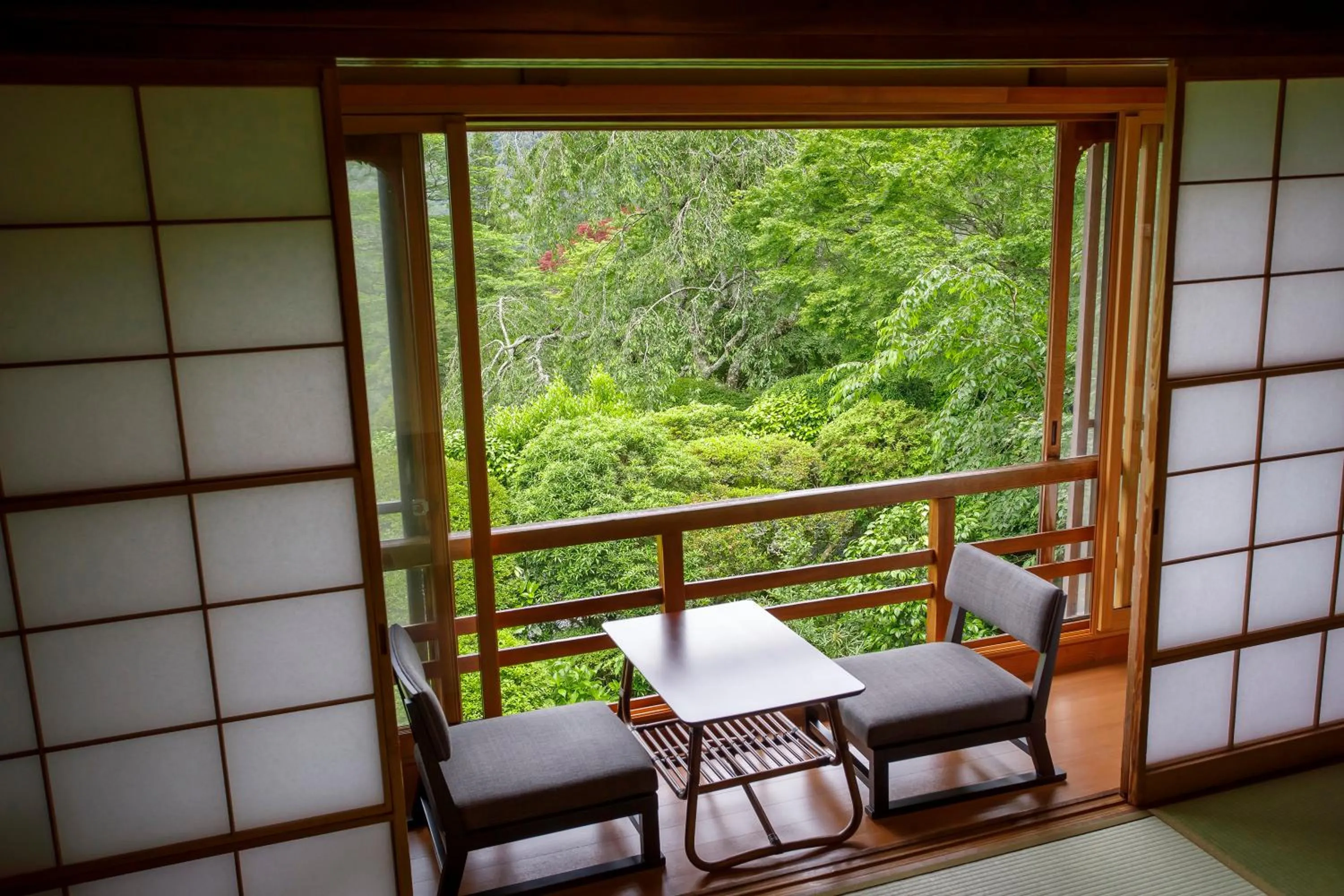 View (from property/room) in Hakone Kowakien Mikawaya Ryokan