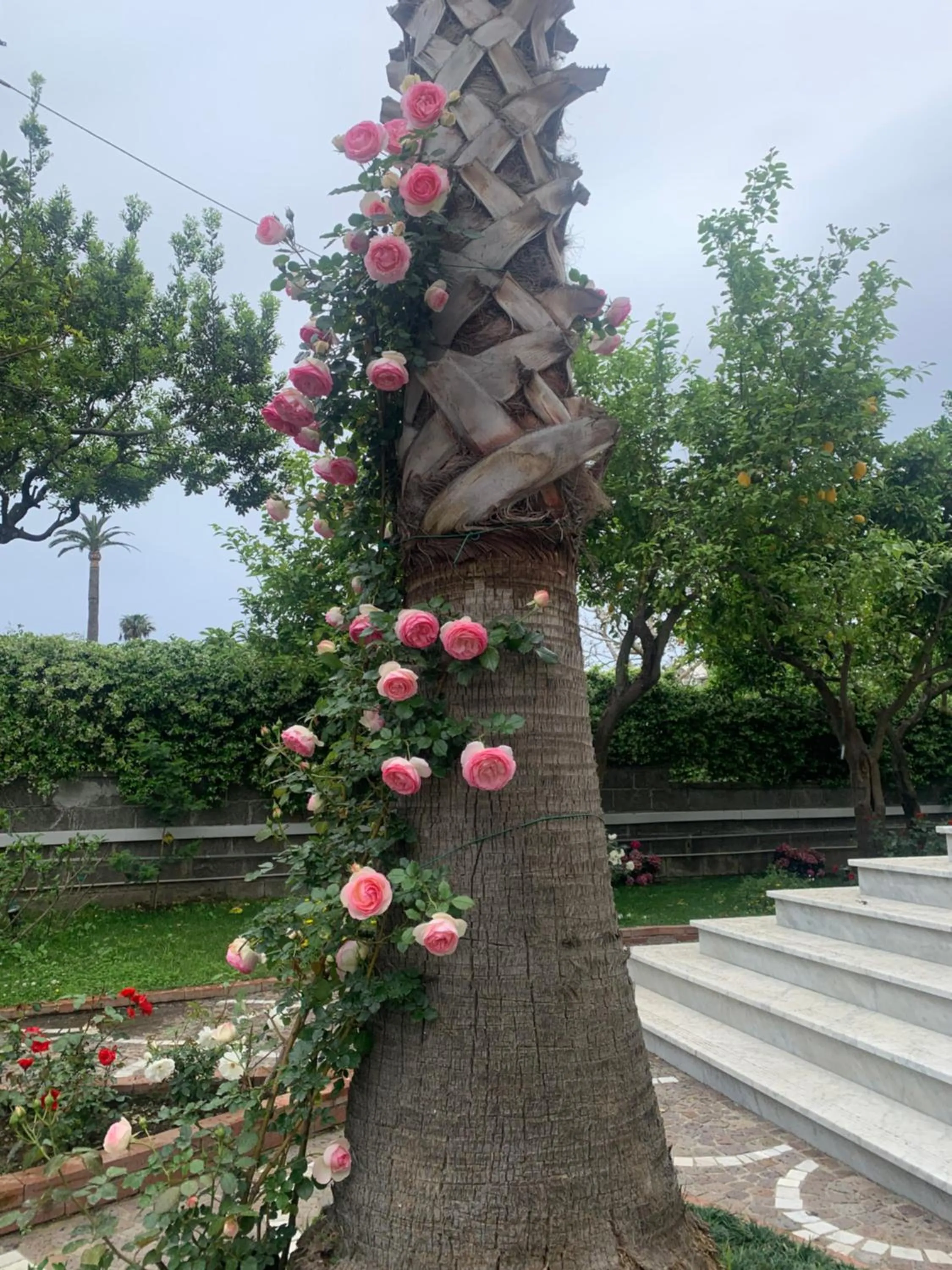 Spring in Villa Cettina Boutique Hotel