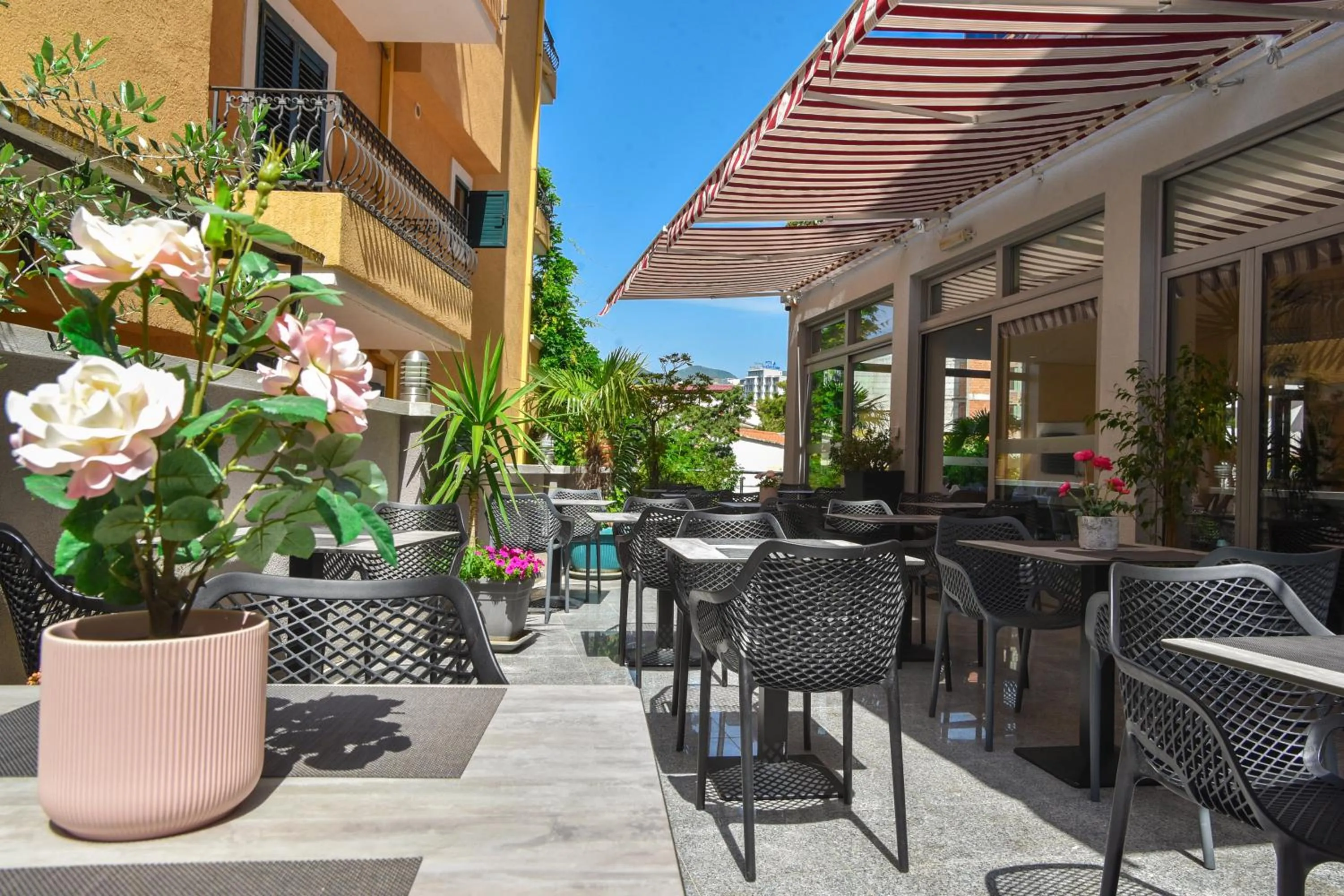 Restaurant/places to eat in Hotel La mer