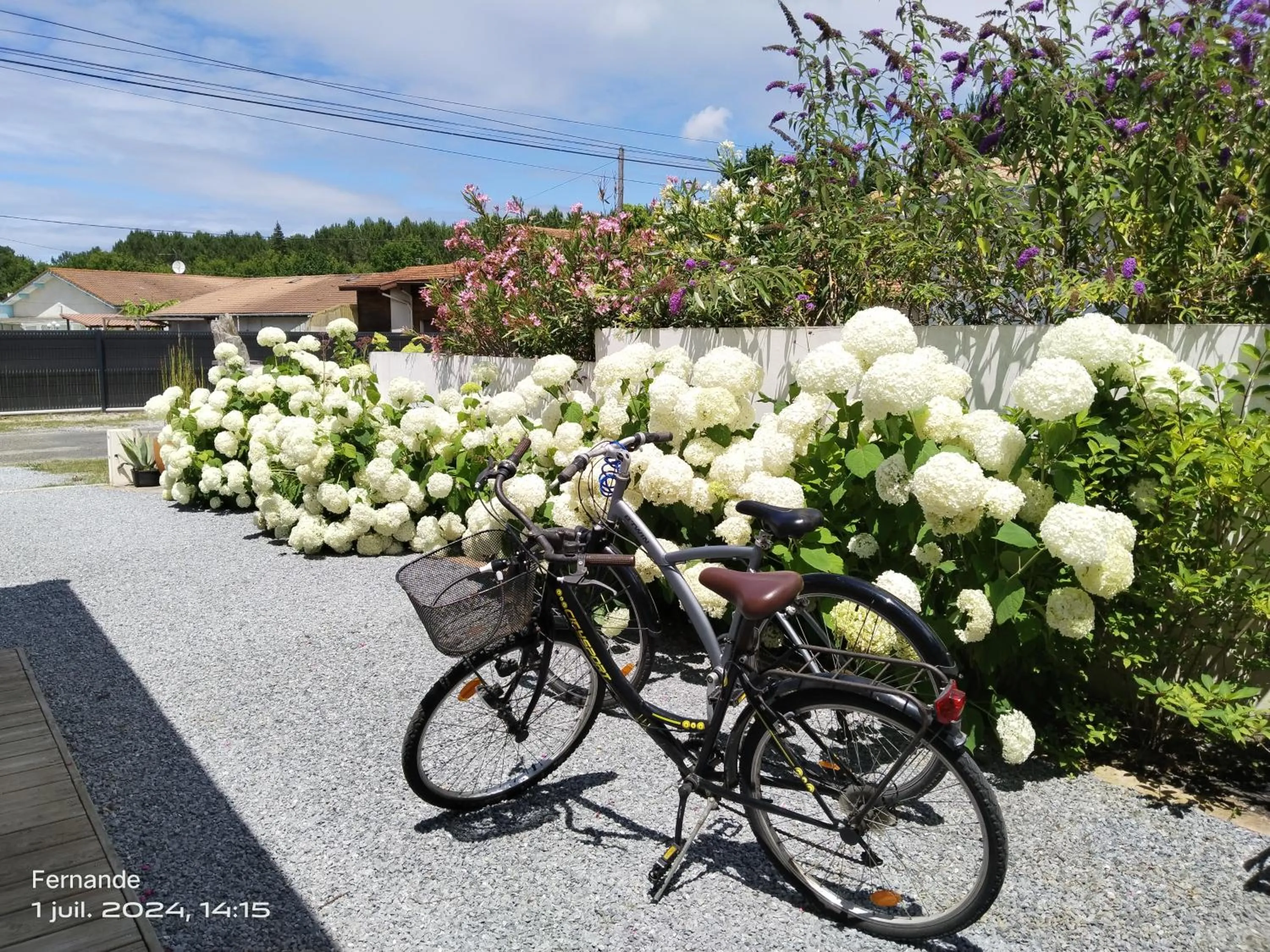Chambre d'hôte Margot'te