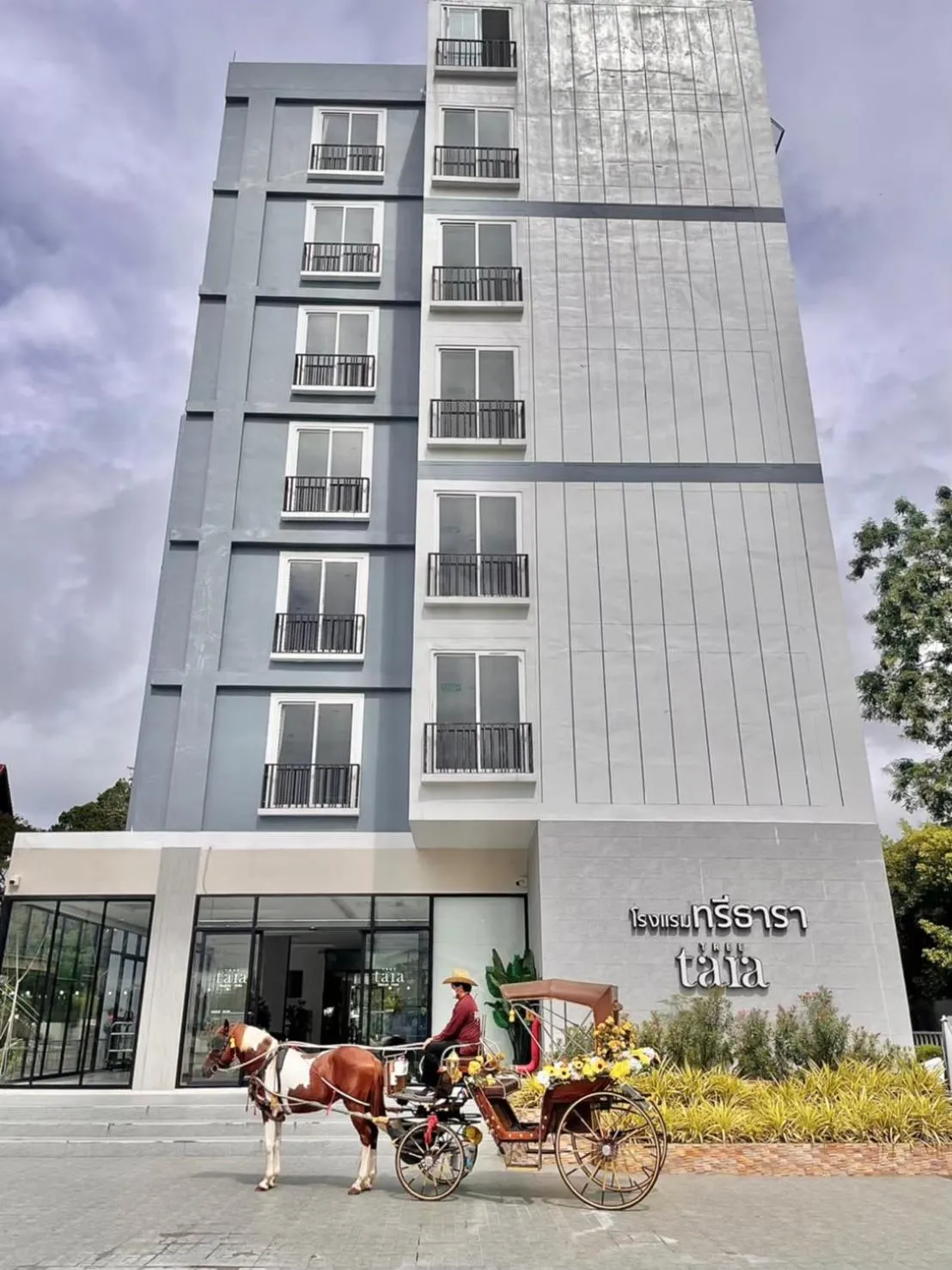 Activities in Tree Tara hotel