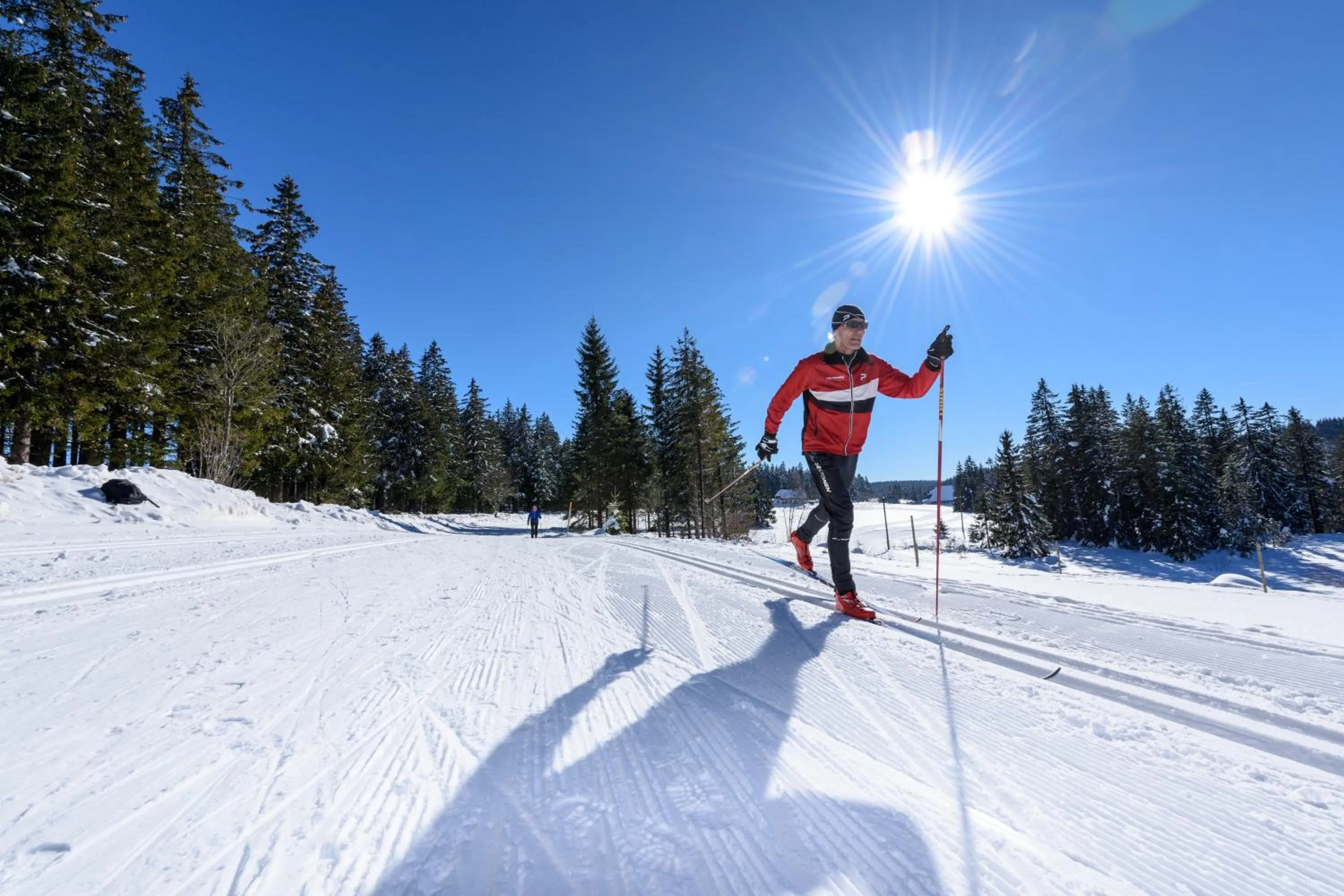 Natural landscape in Hotel Waldeck mit Restaurant "Florian'S"