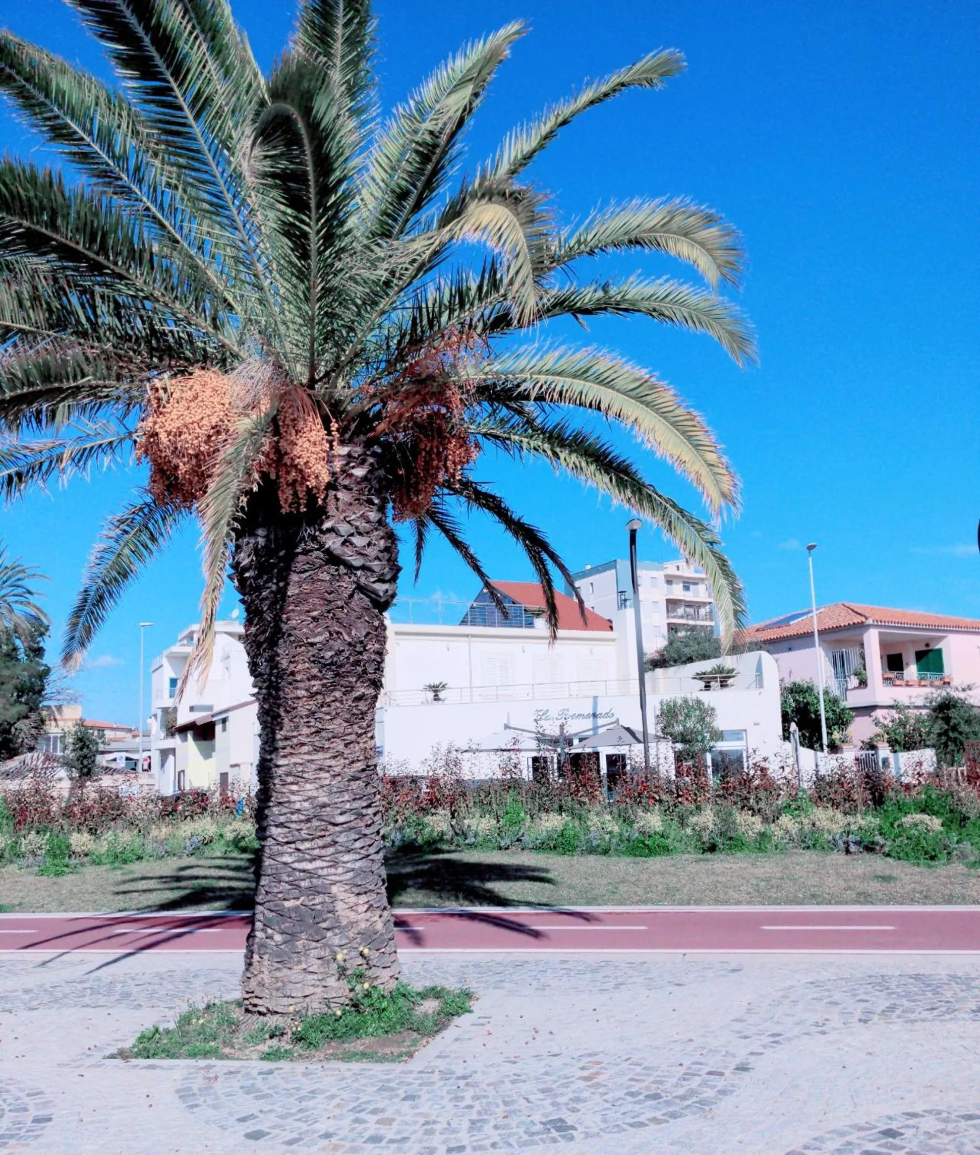 View (from property/room) in La Promenade Rooms & Suites