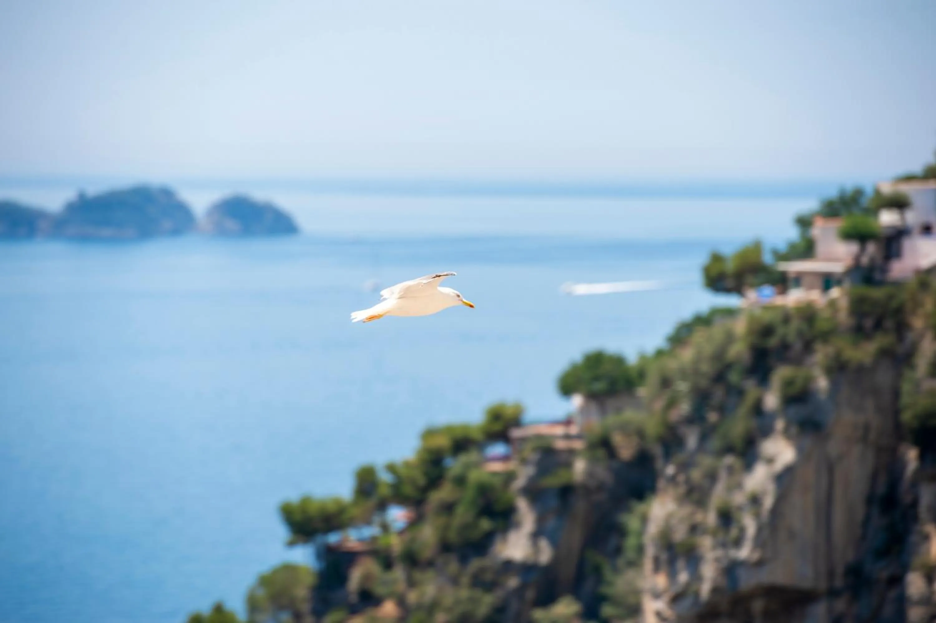 Property building in CASA CAPRILE POSITANO