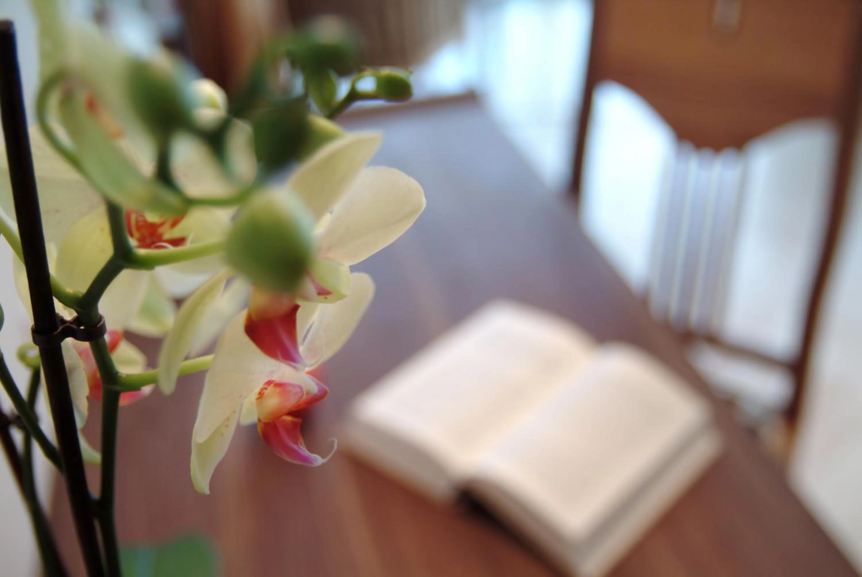 Decorative detail in Waldhotel & SPA Davos - for body & soul