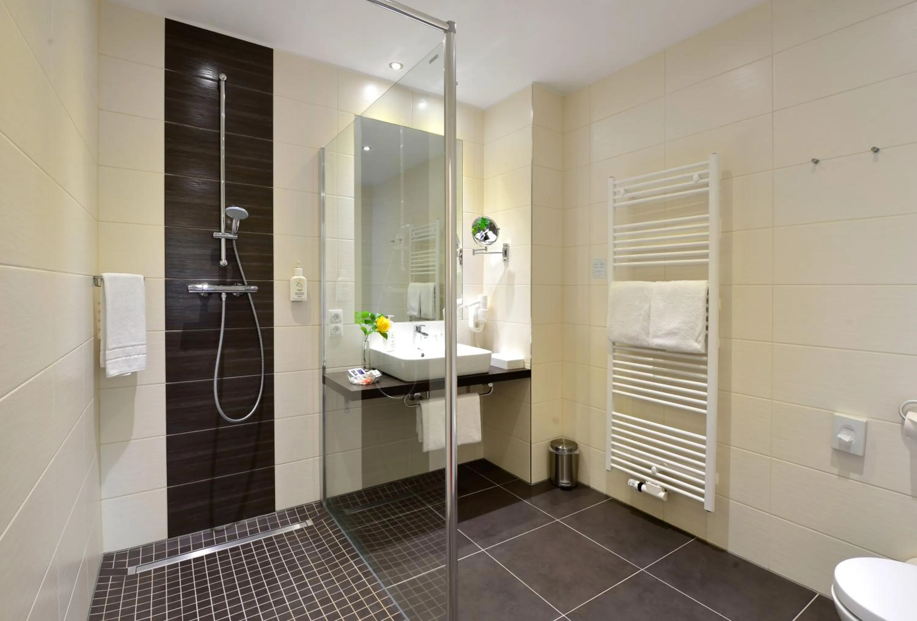 Bathroom in Ringhotel Haus Oberwinter