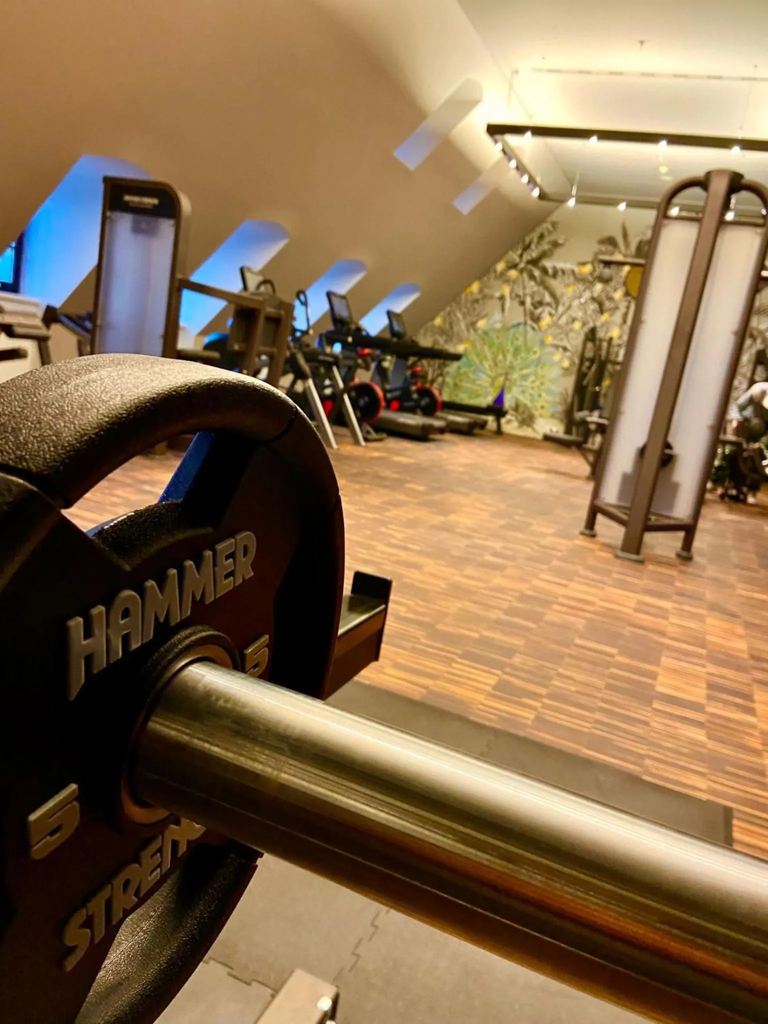 Fitness centre/facilities in Townhouse Dresden