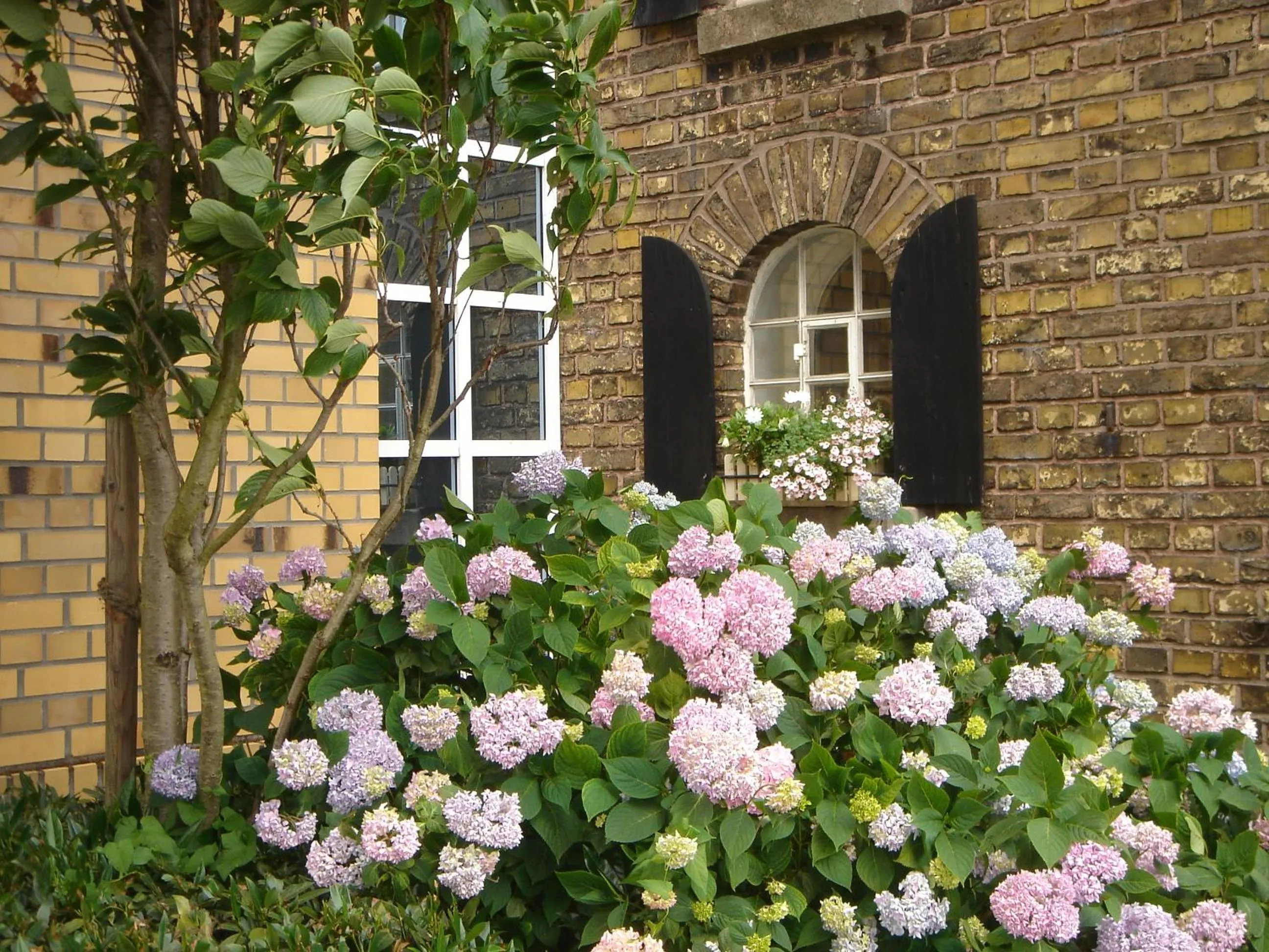 Facade/entrance in Land-gut-Hotel Lohmann