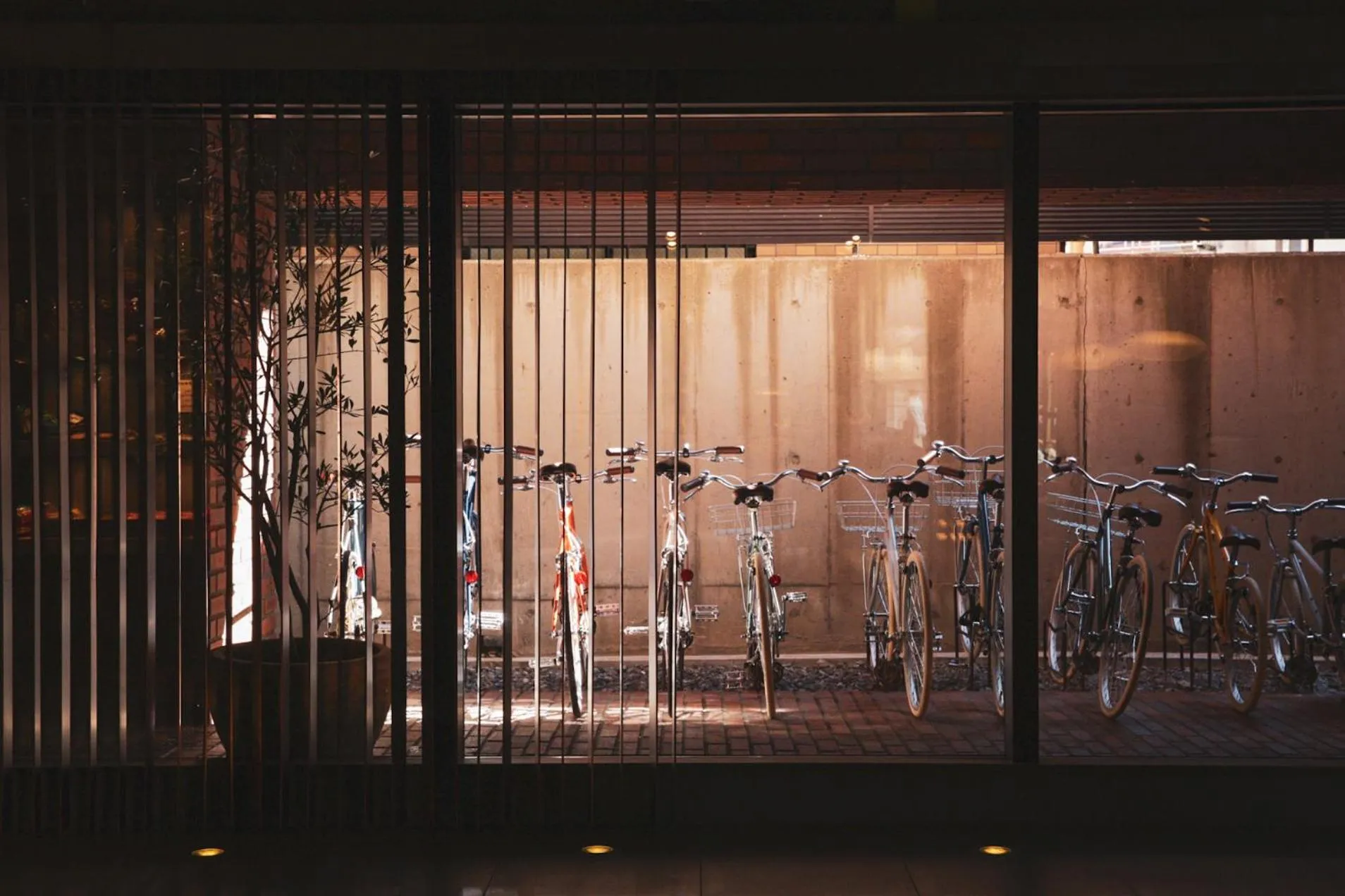 Cycling in Asakusa Kokono Club Hotel