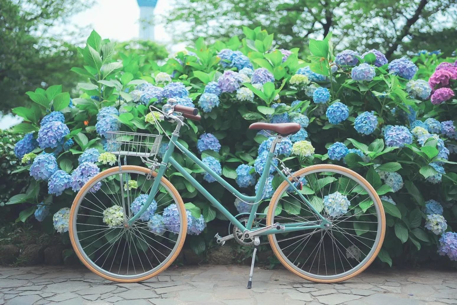 Entertainment in Asakusa Kokono Club Hotel