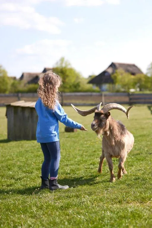 Animals in Van der Valk Resort Linstow