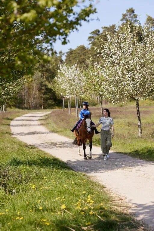 Horse-riding in Van der Valk Resort Linstow