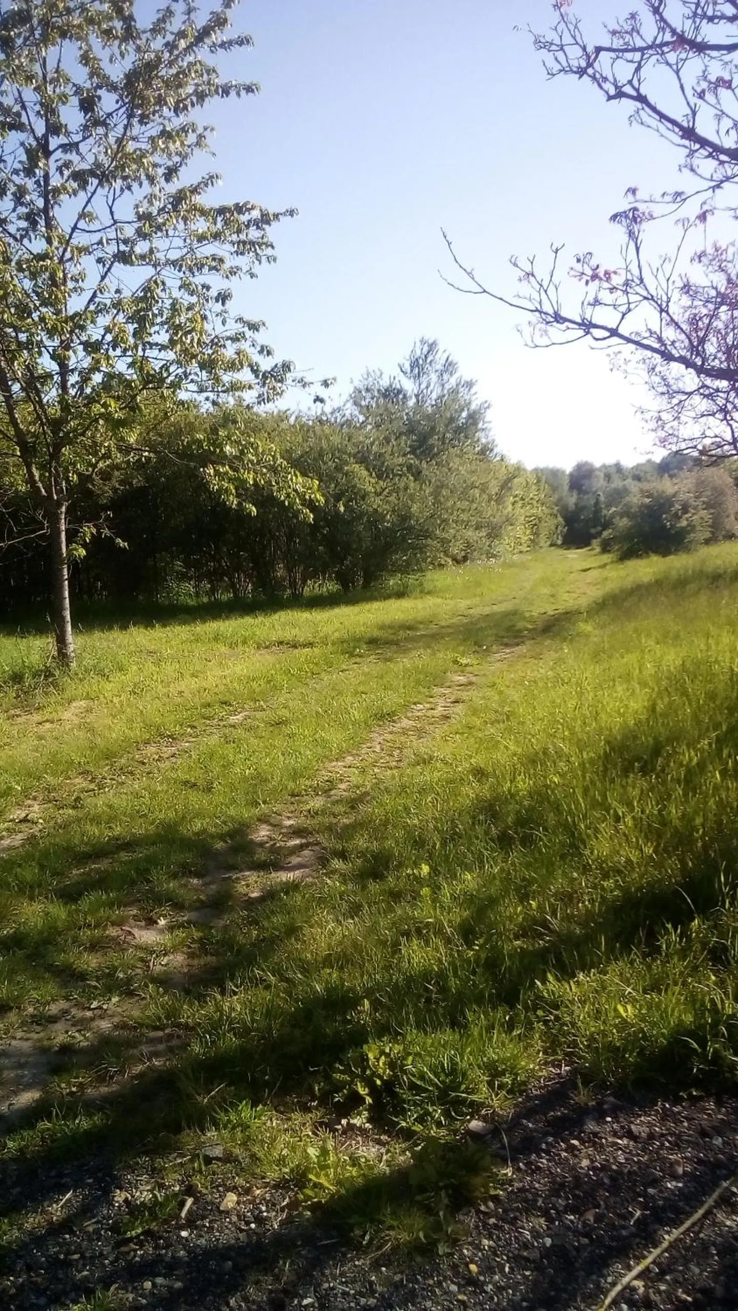 Garden in Domaine de Gentilly