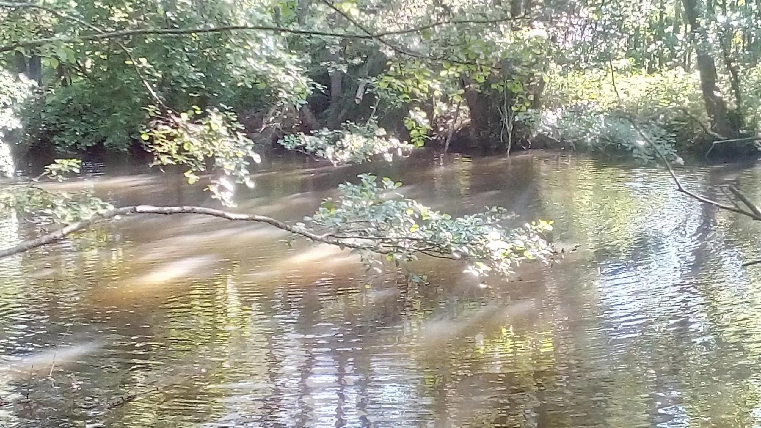 River view in Domaine de Gentilly