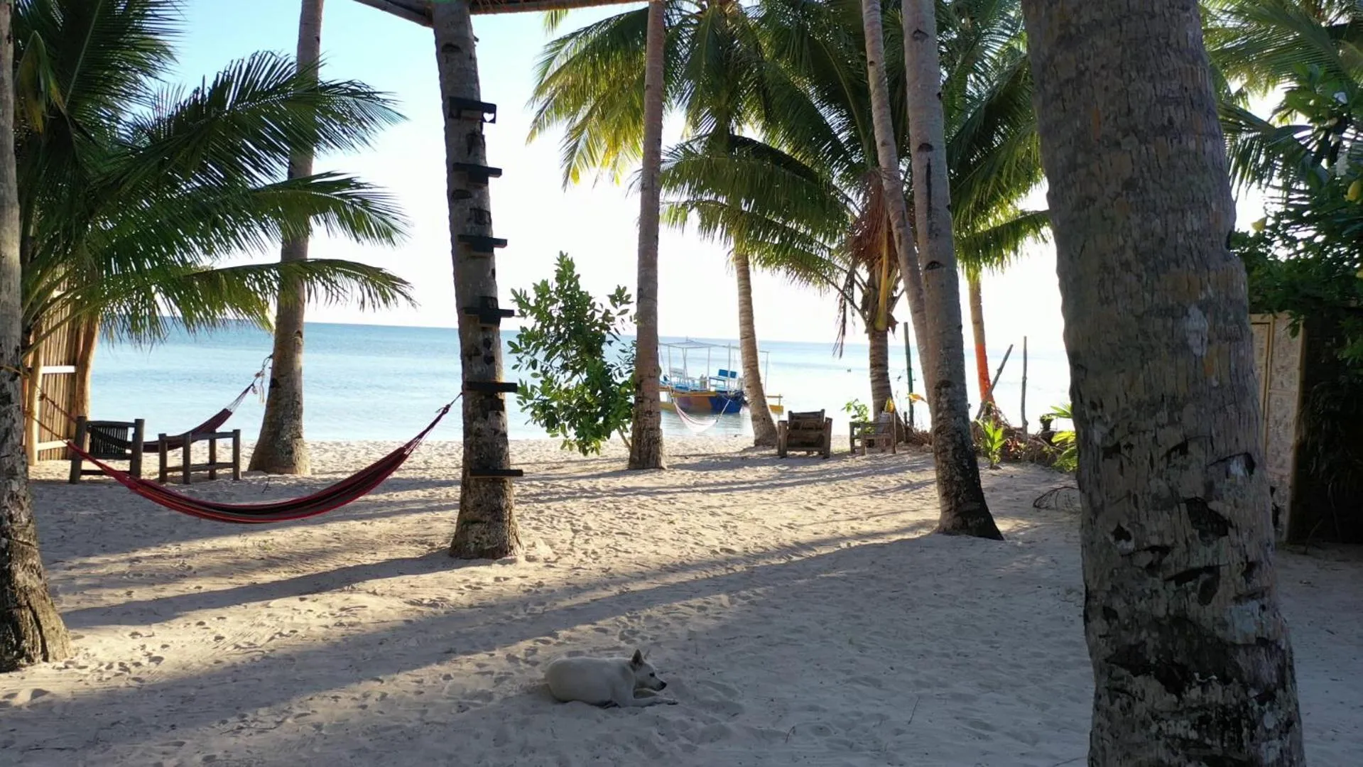 Sea view in Apo Diver Beach Resort