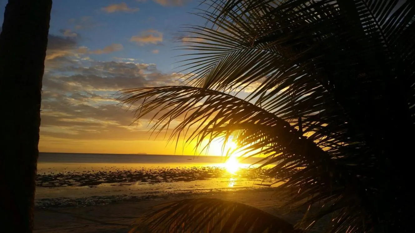 Property building in Apo Diver Beach Resort