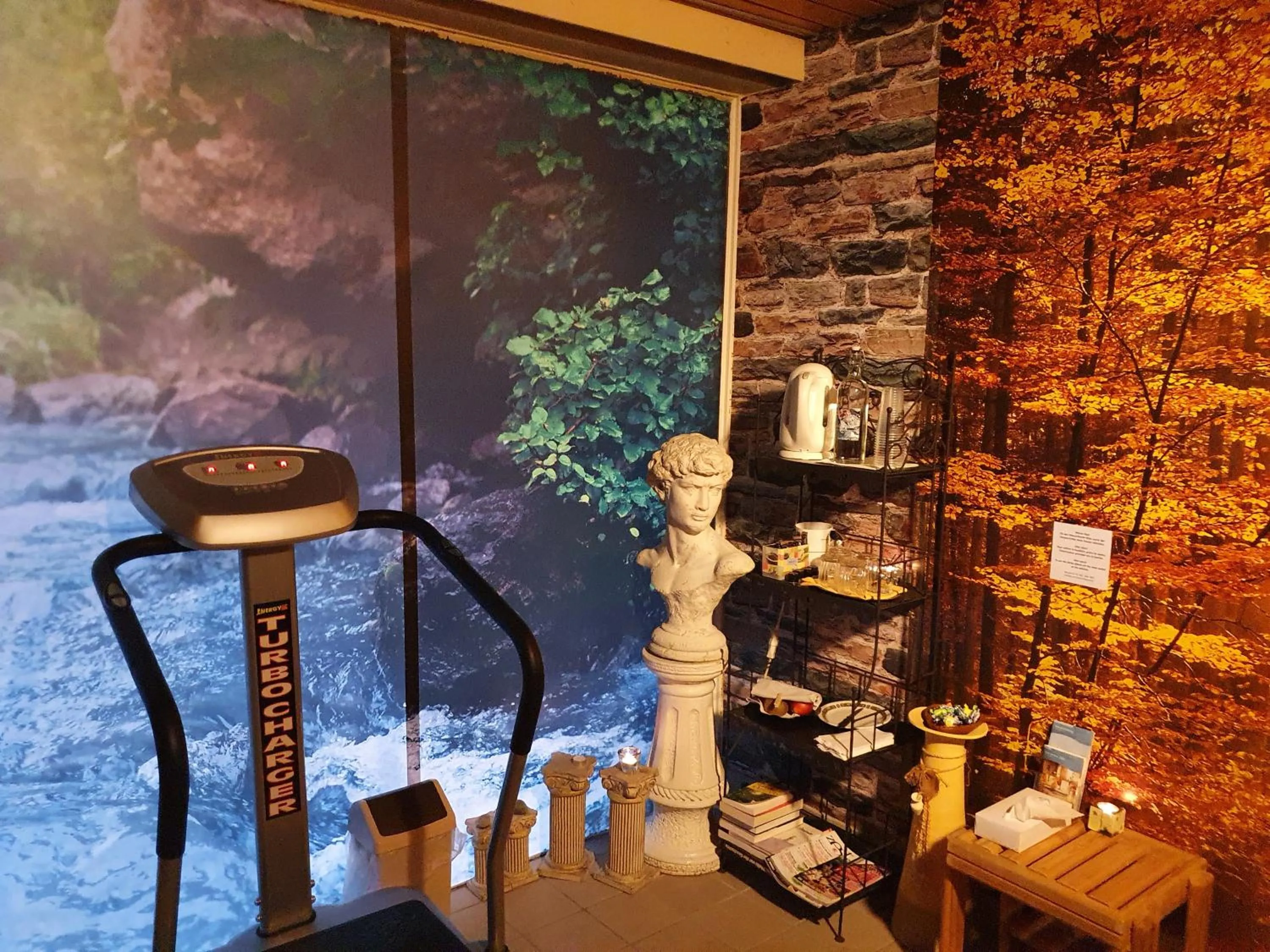 Sauna in dala Hotel & Apartments