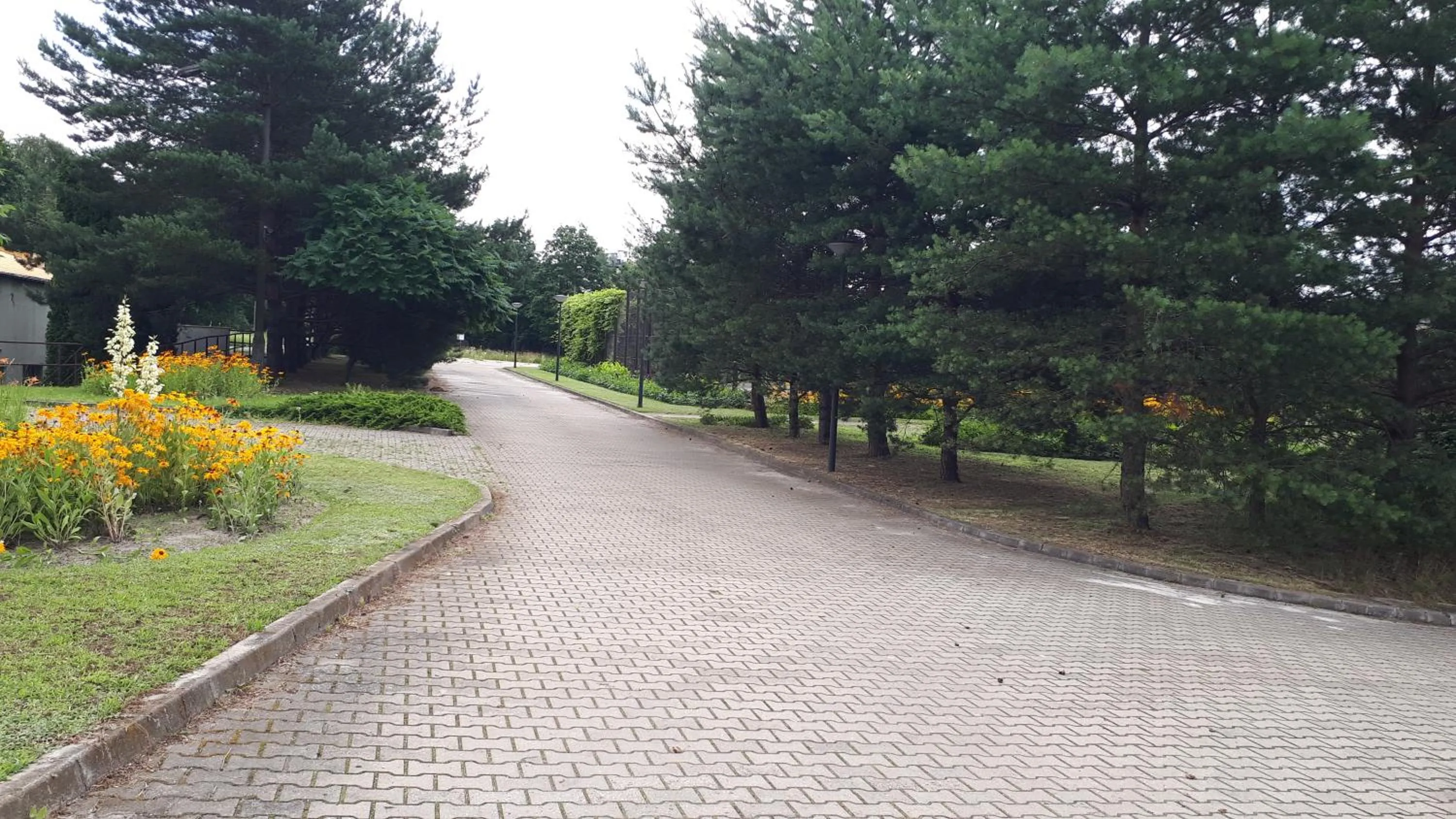 Garden in CKS Warszawa (Centrum Konferencyjno-Szkoleniowe CS Natura Tour)
