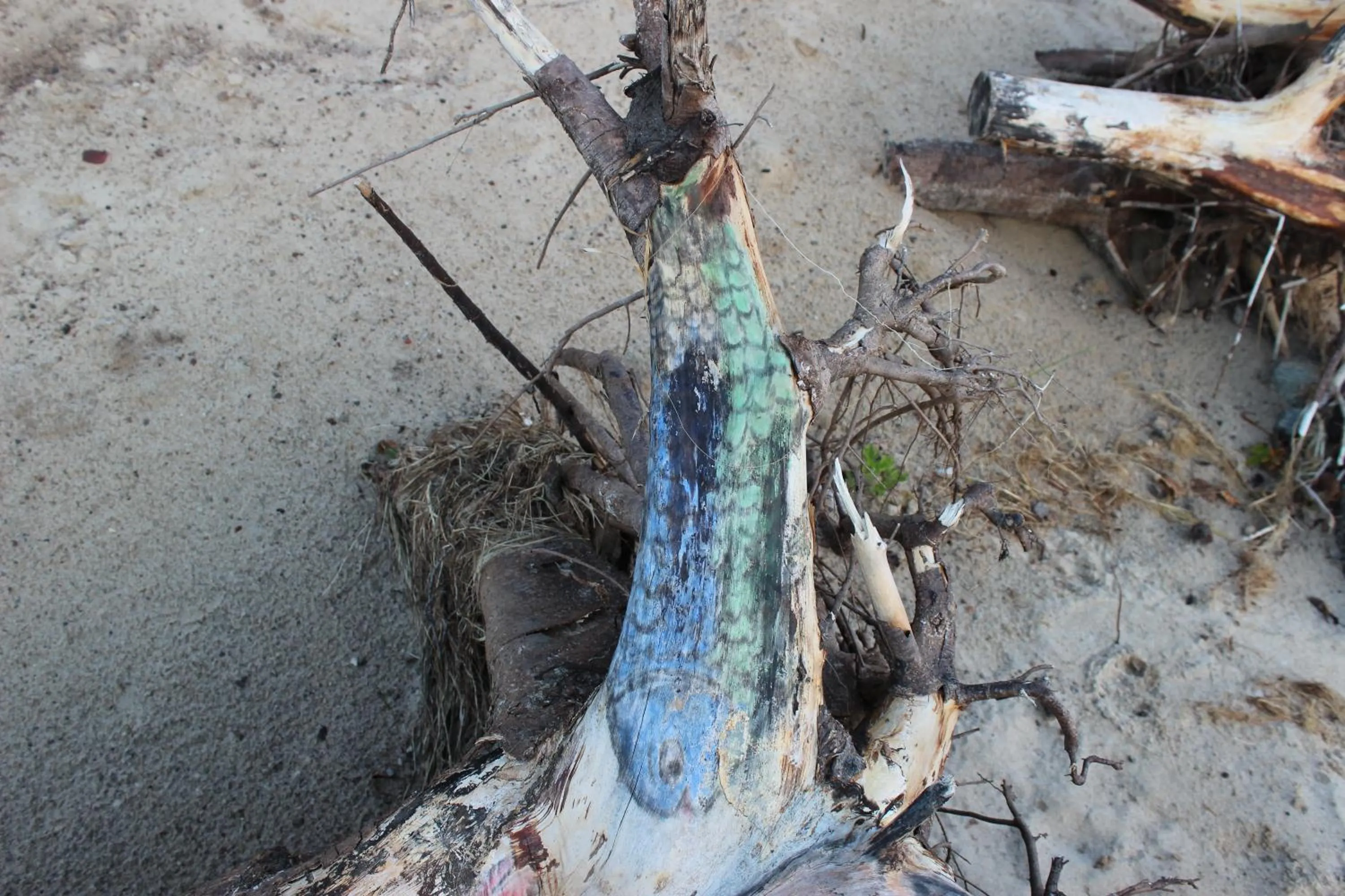 Natural landscape in Hotel Villa Subklew