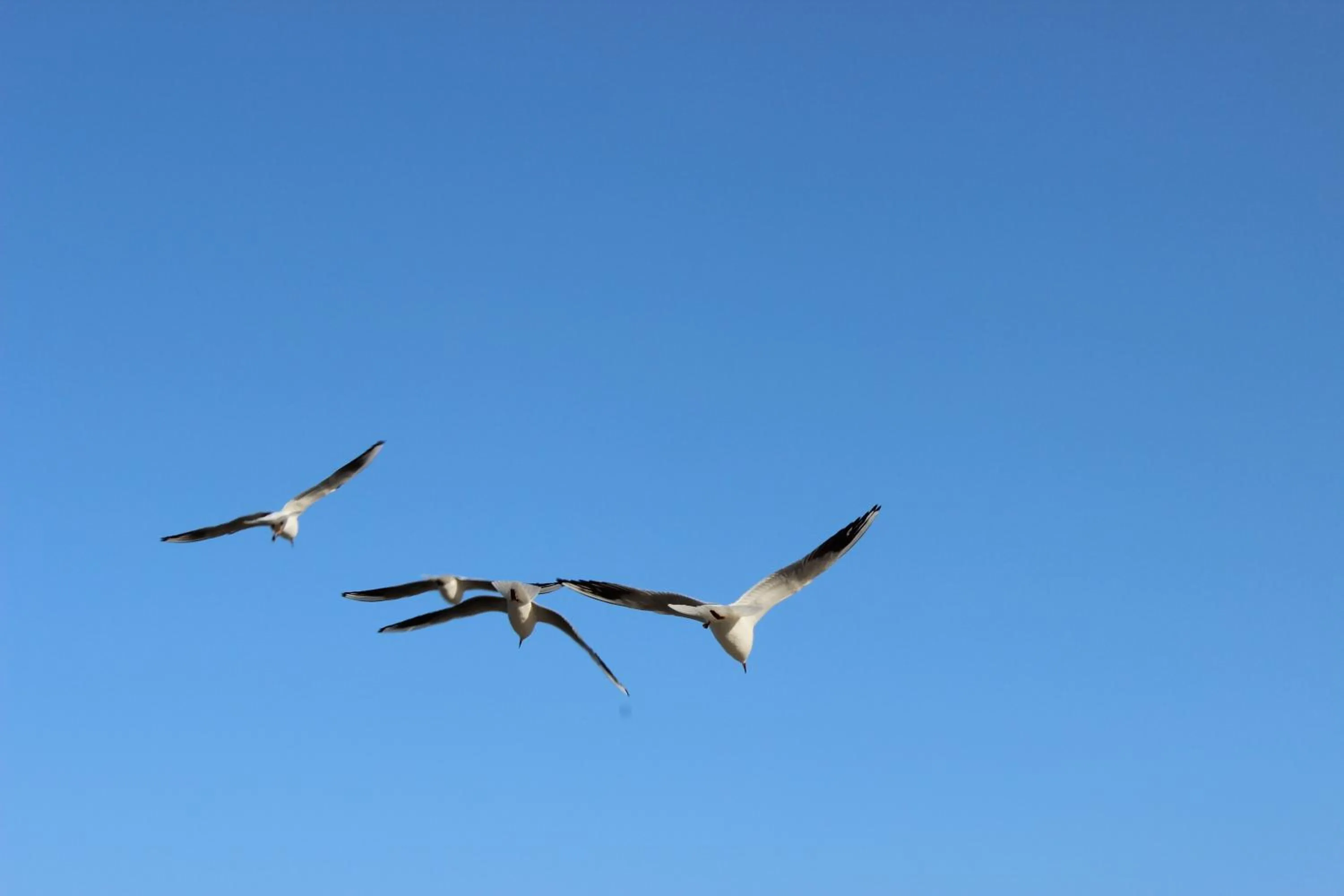 Spring in Hotel Villa Subklew