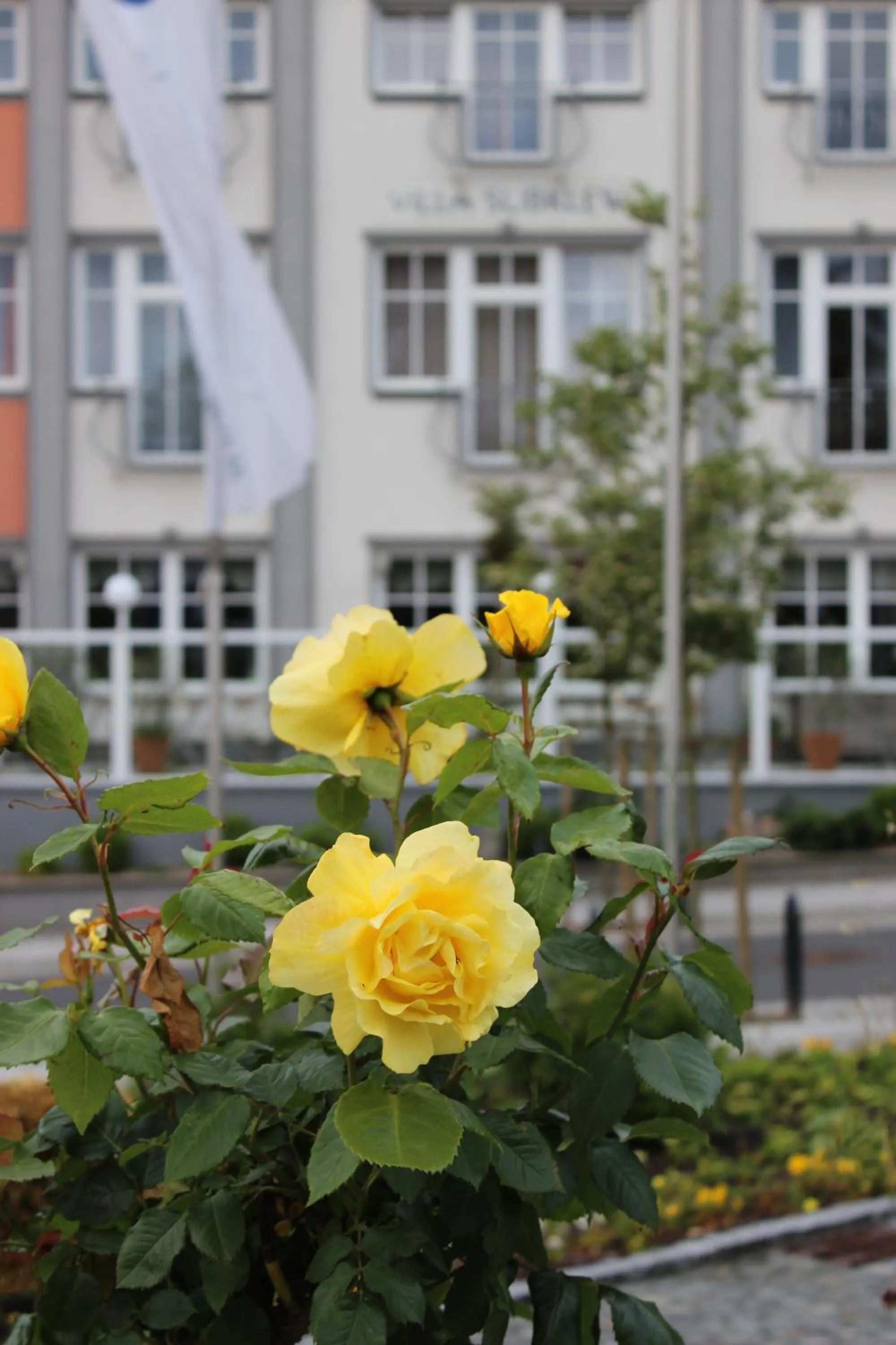Garden view in Hotel Villa Subklew
