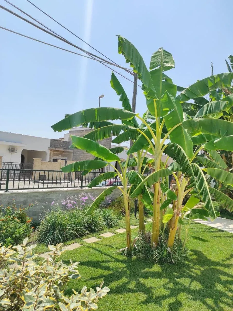 Garden in Il Negramaro