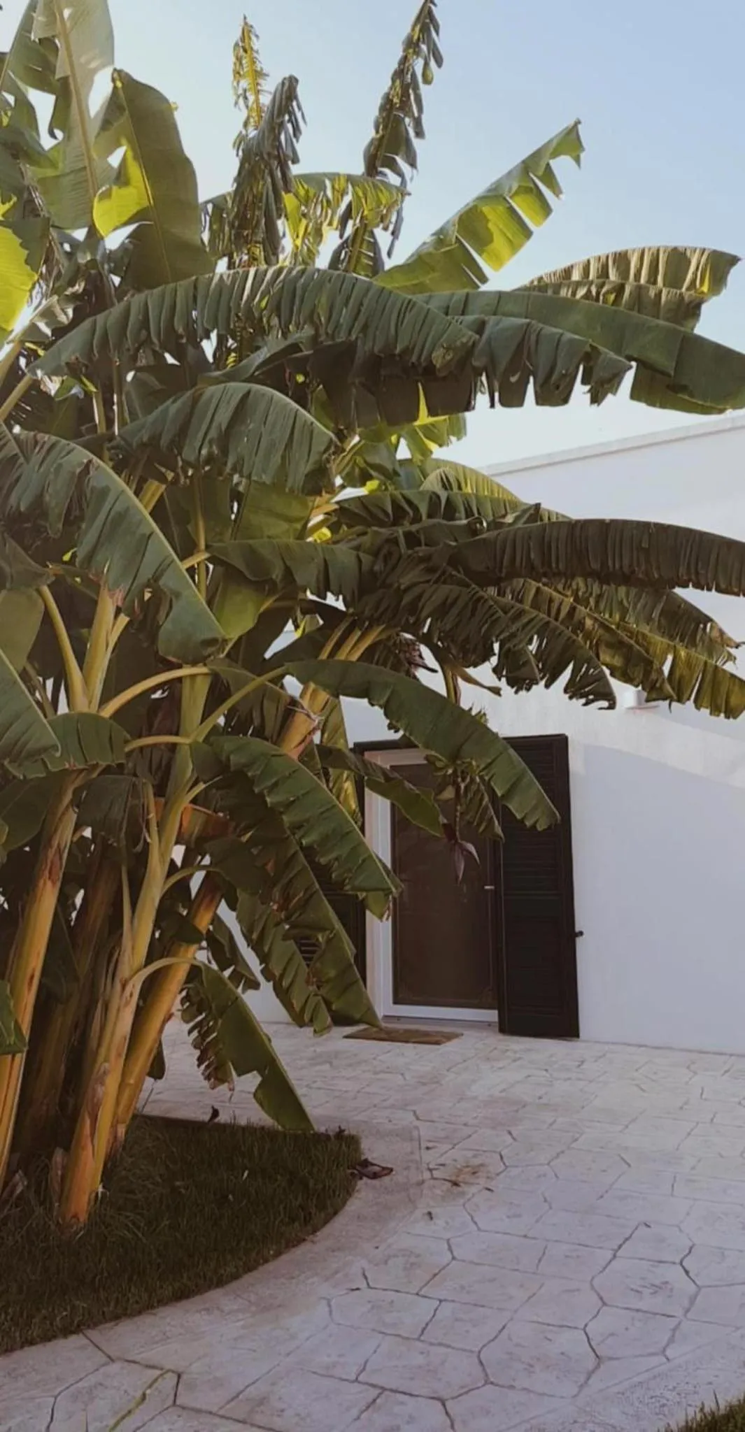 Property building in Il Negramaro