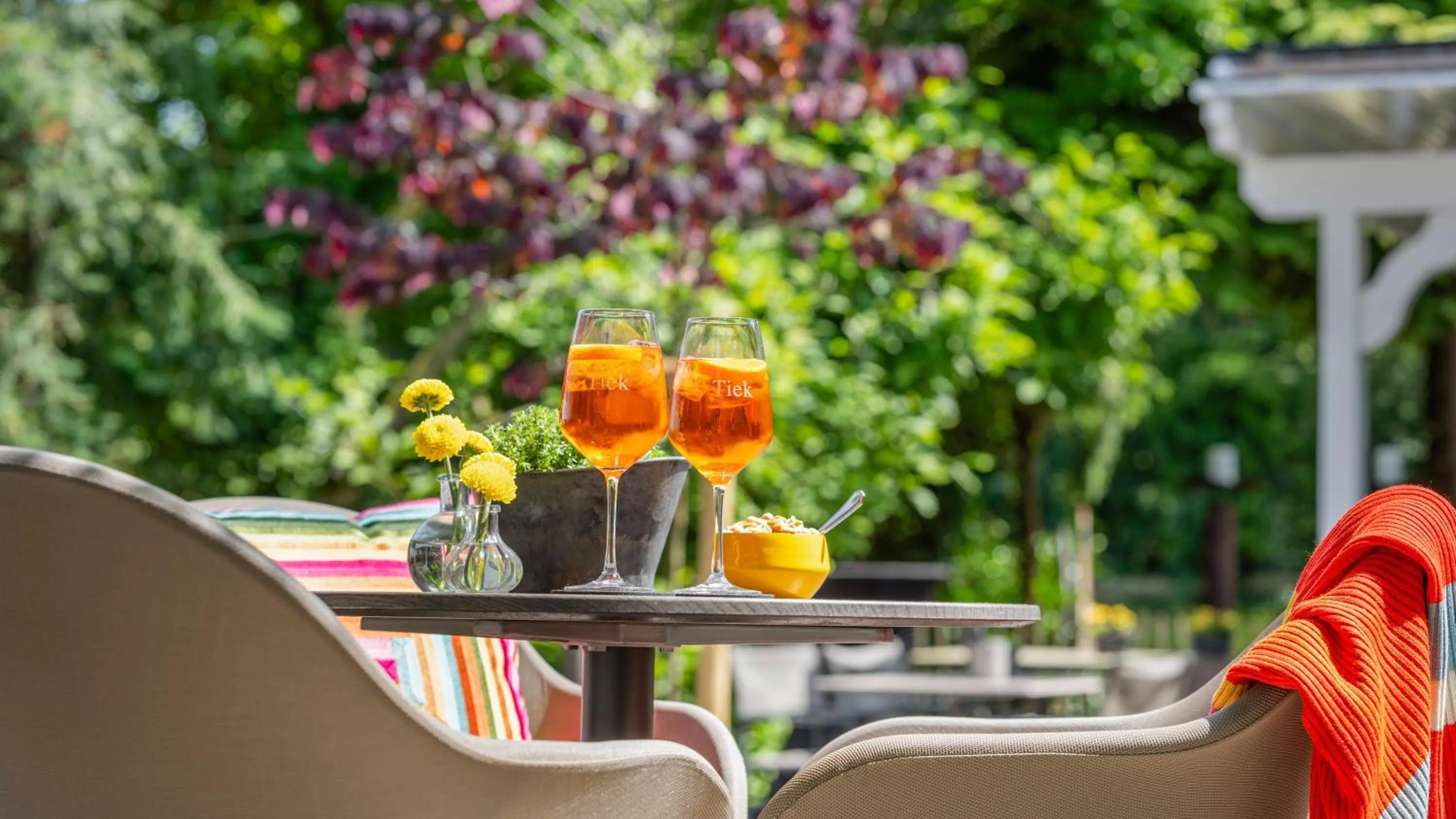 Restaurant/places to eat in Hotel Tiek Superior