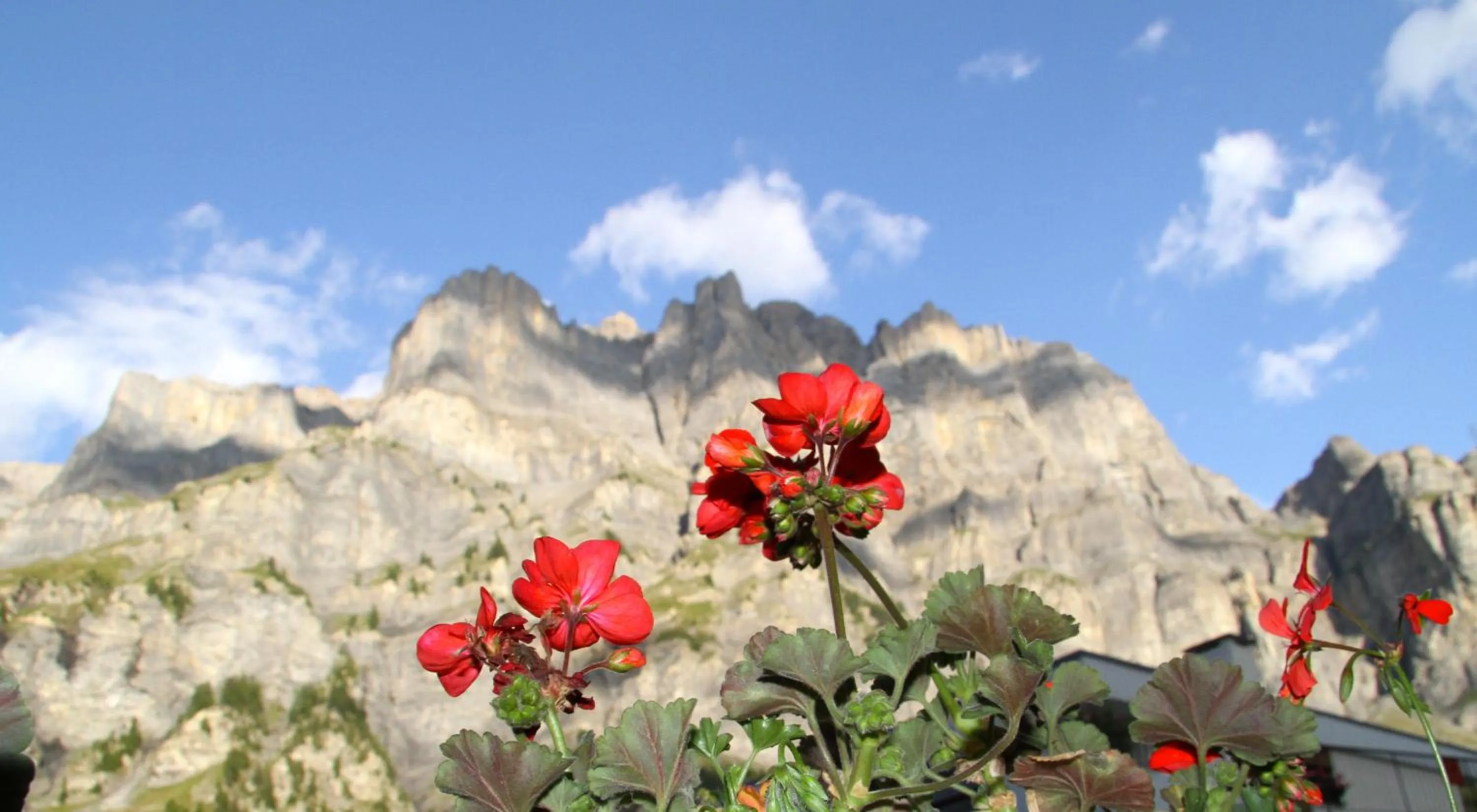 Balcony/Terrace in Therme 51° Hotel Physio & Spa