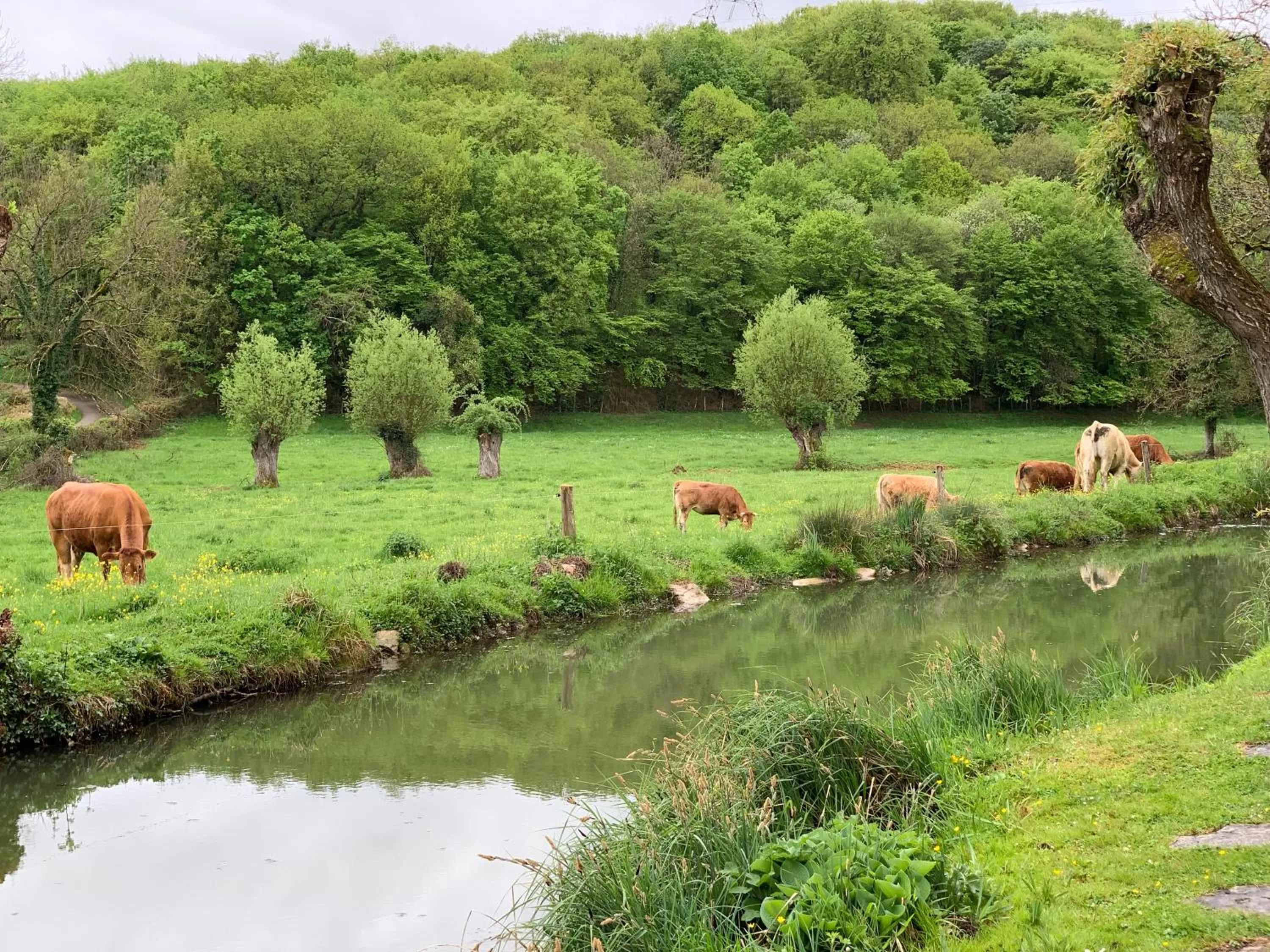 River view in Les maisons vigneronnes