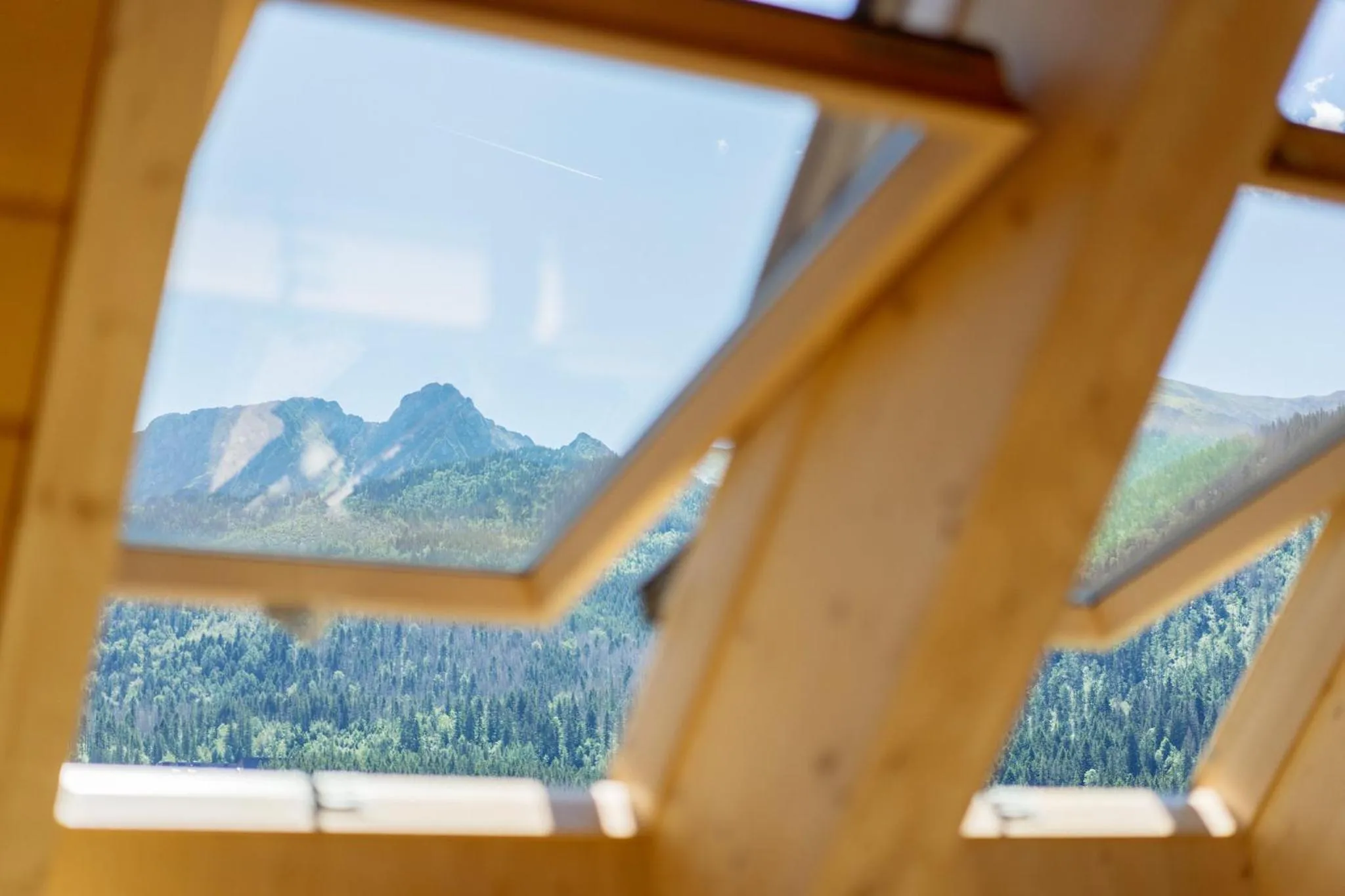 Day in Podhalańskie Tarasy - LoftAffair