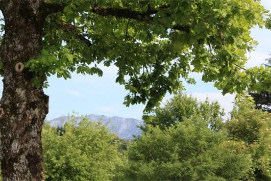 Day in Hotel Friedenseiche