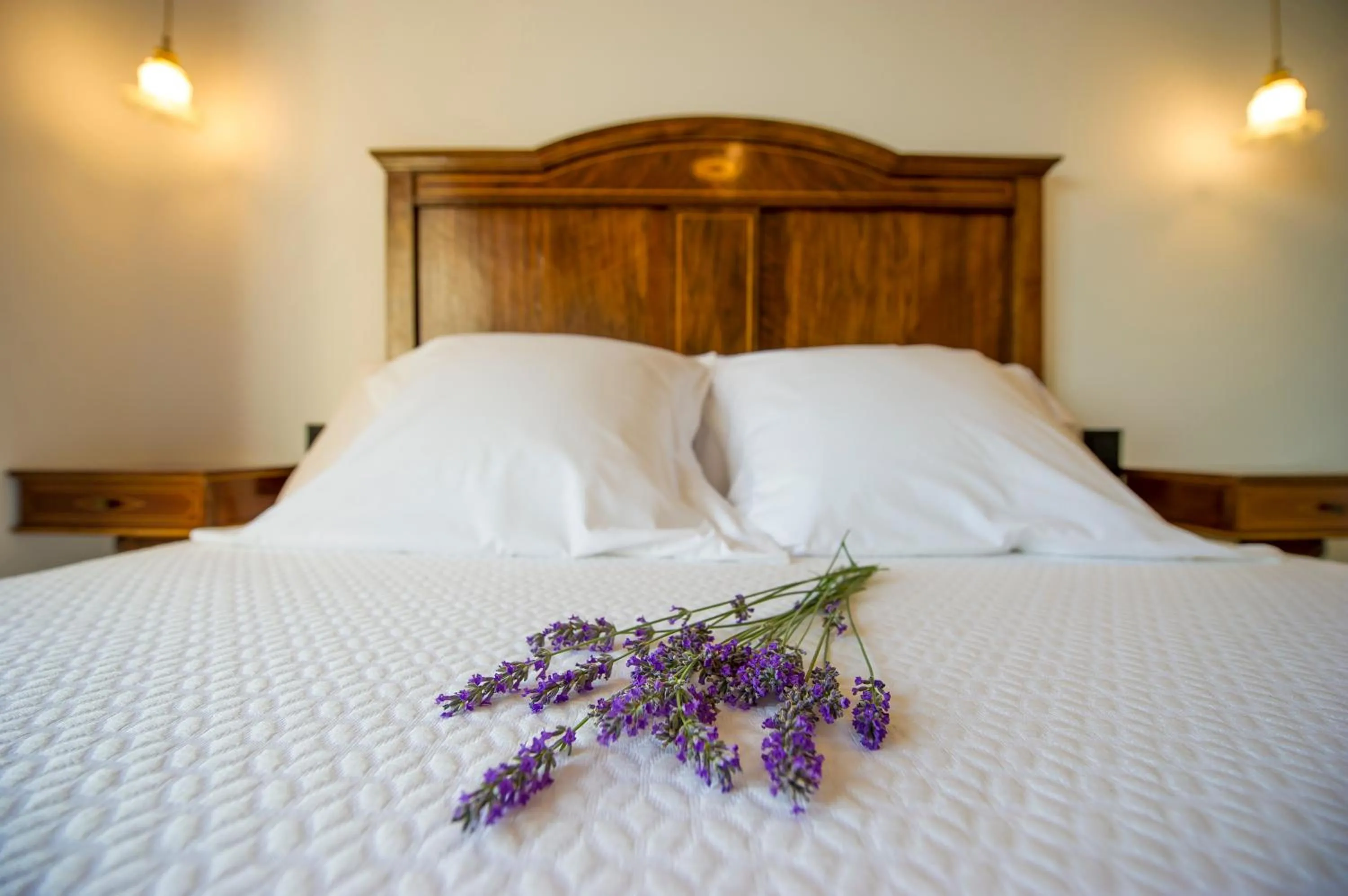 Decorative detail, Bed in Bolet Casa Modernista