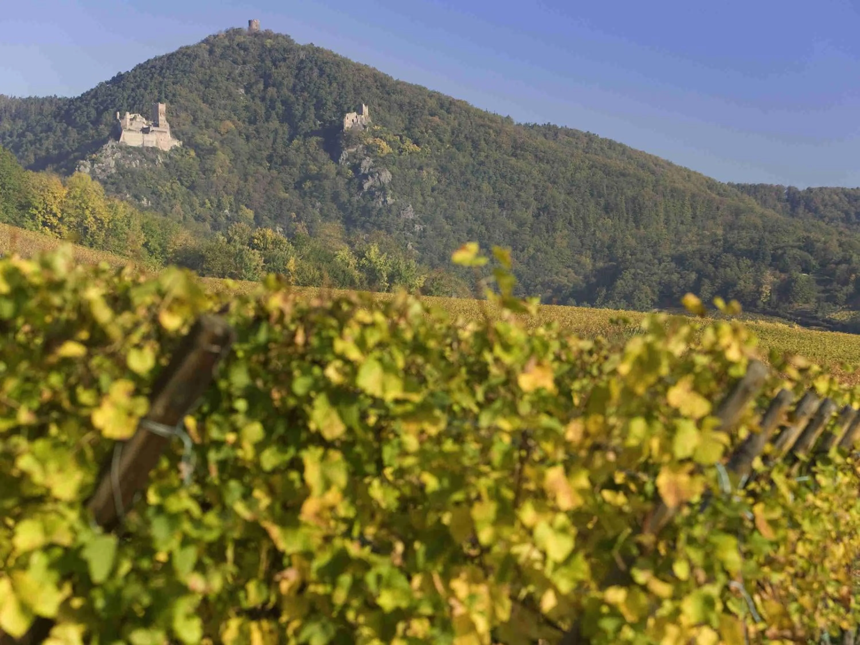 Other in ibis Colmar Centre