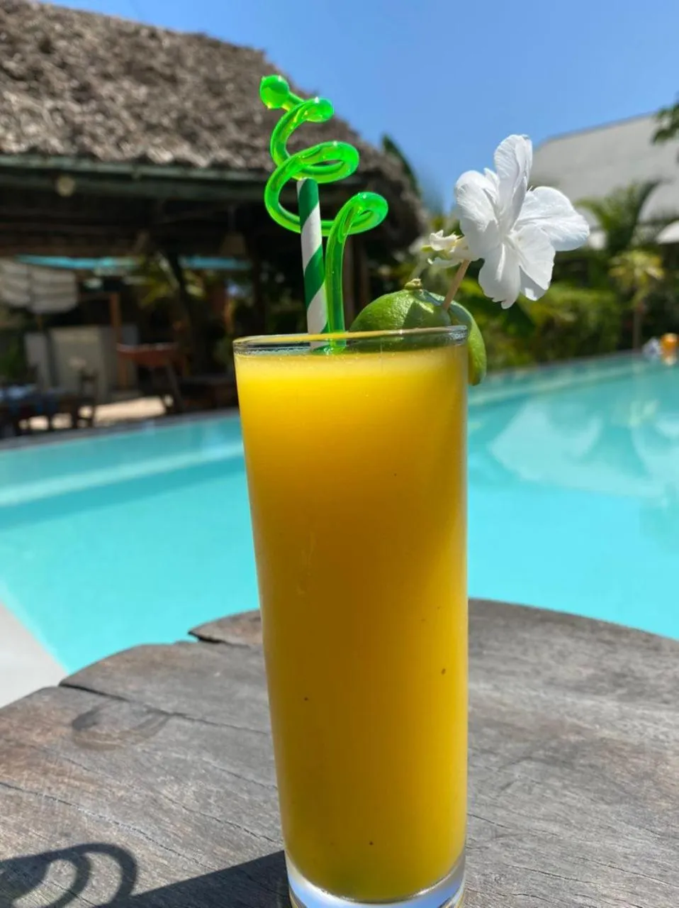 Swimming pool in Shamba Village