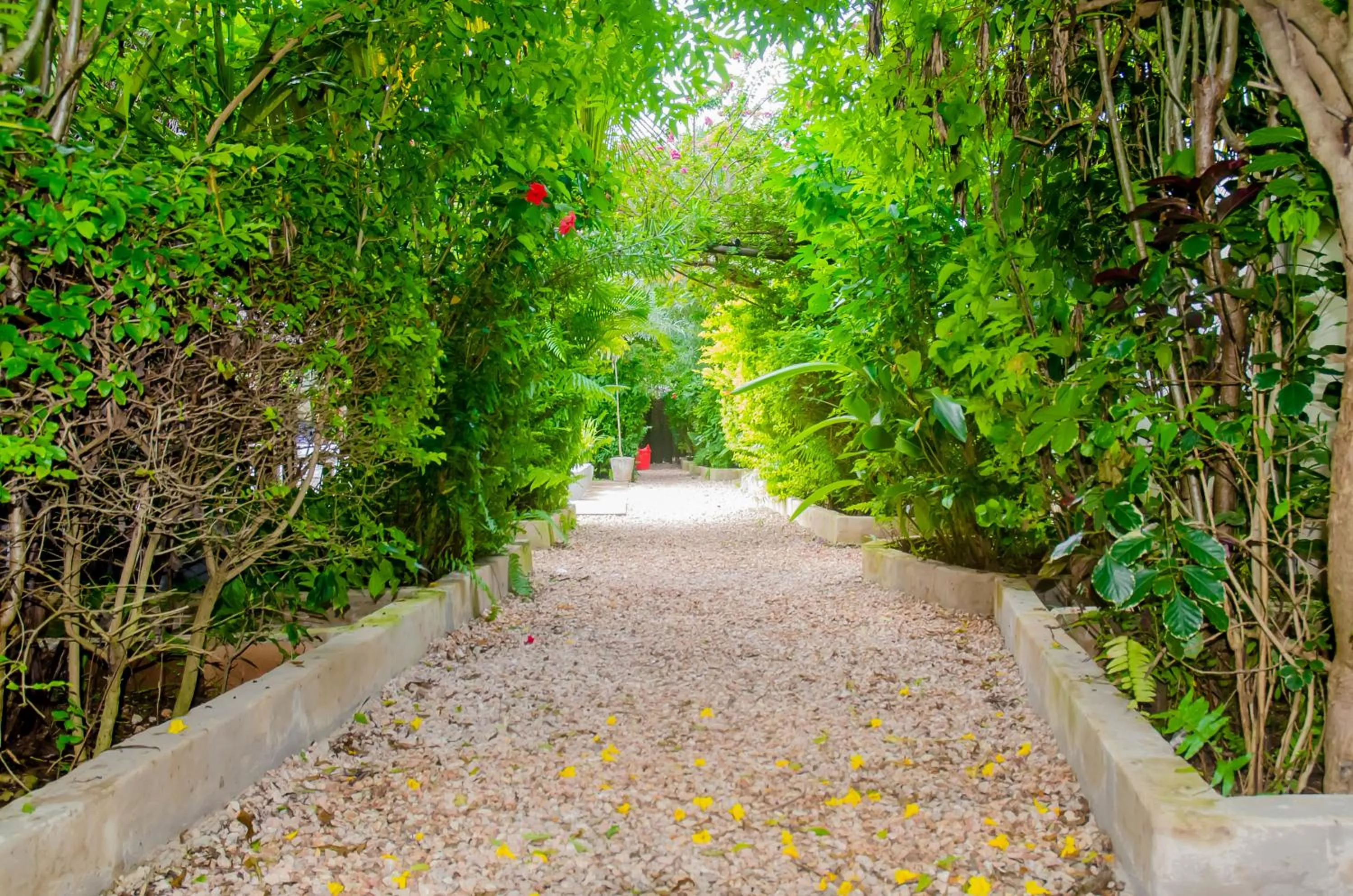 Garden in Shamba Village